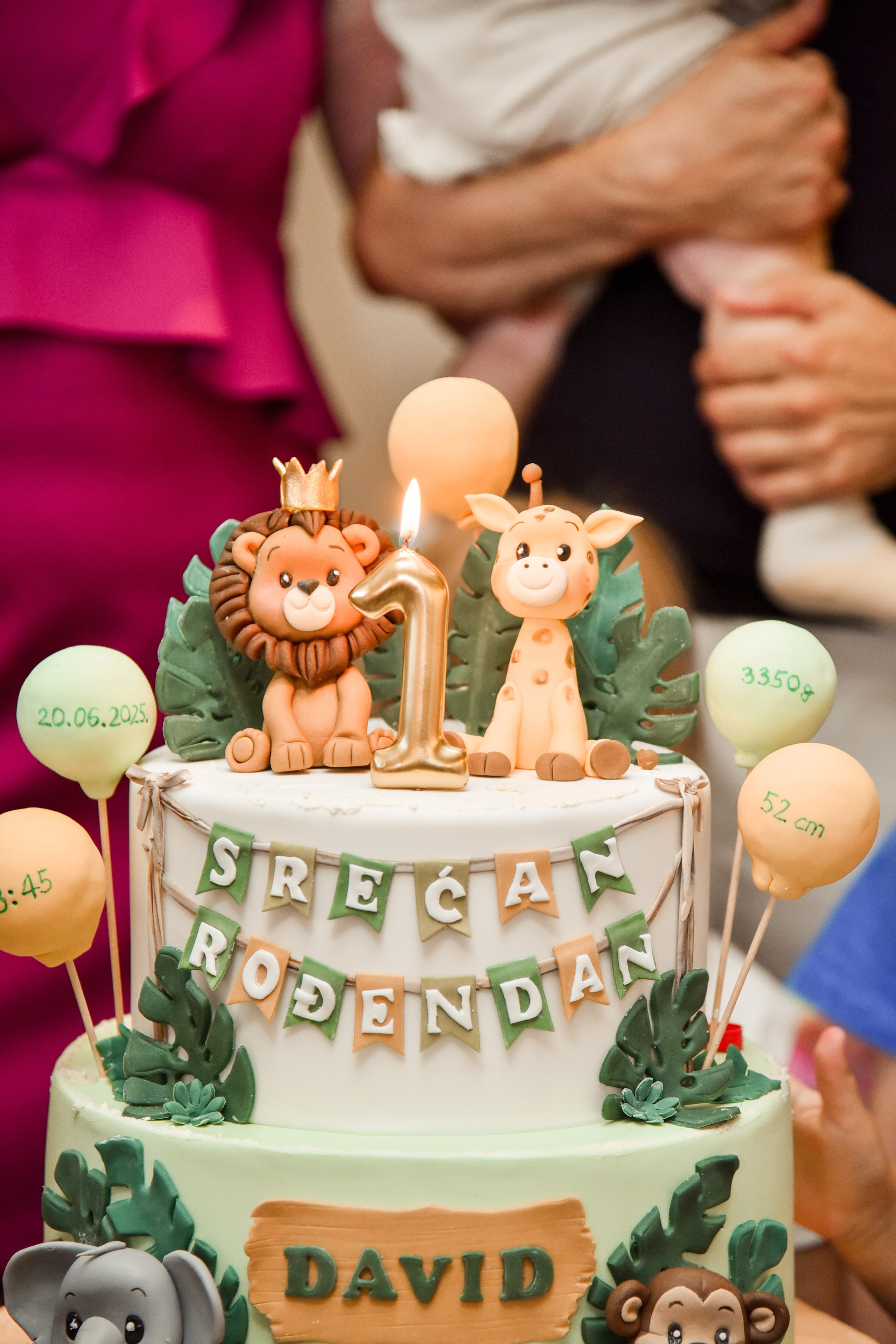 Proslava prvog rodjendana / celebrate first birthday