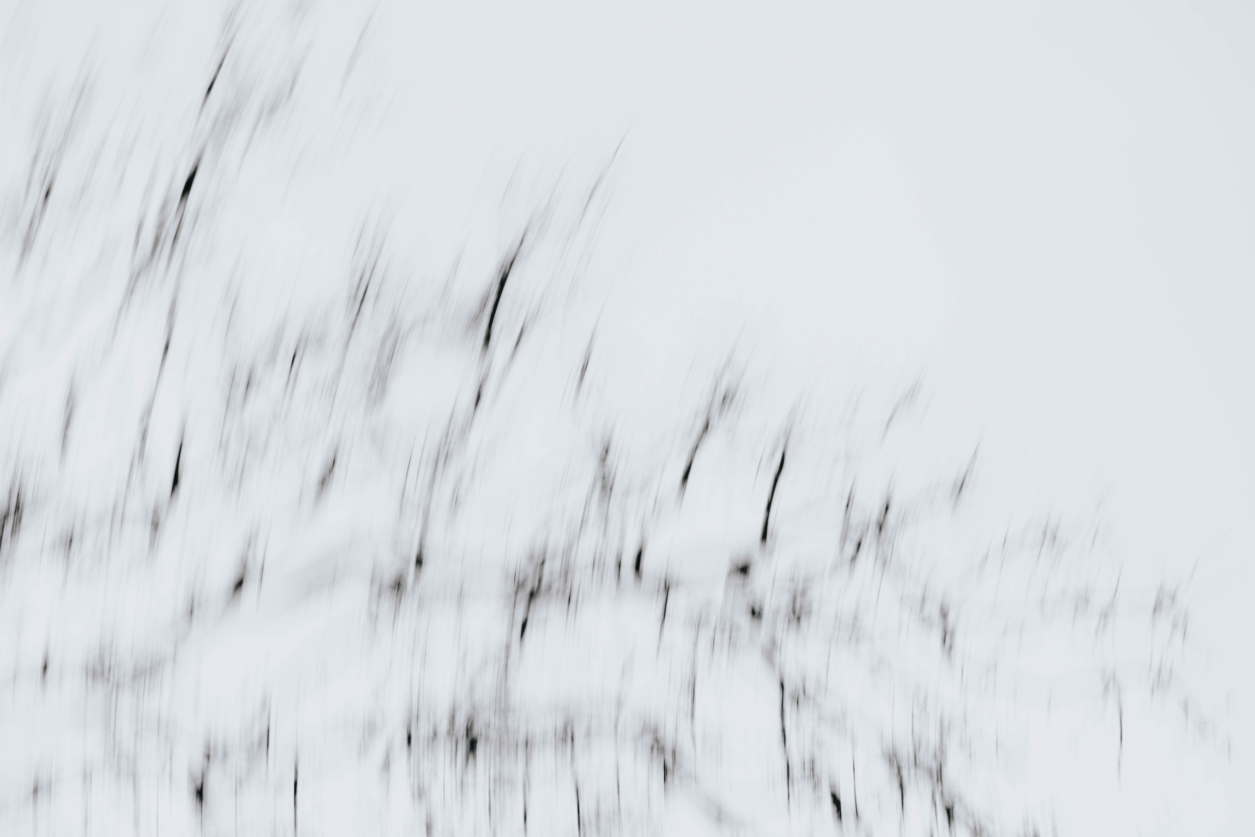 Docdocdoc. Self-portrait. Photographer @elmirkami in the city of Buenos Aires