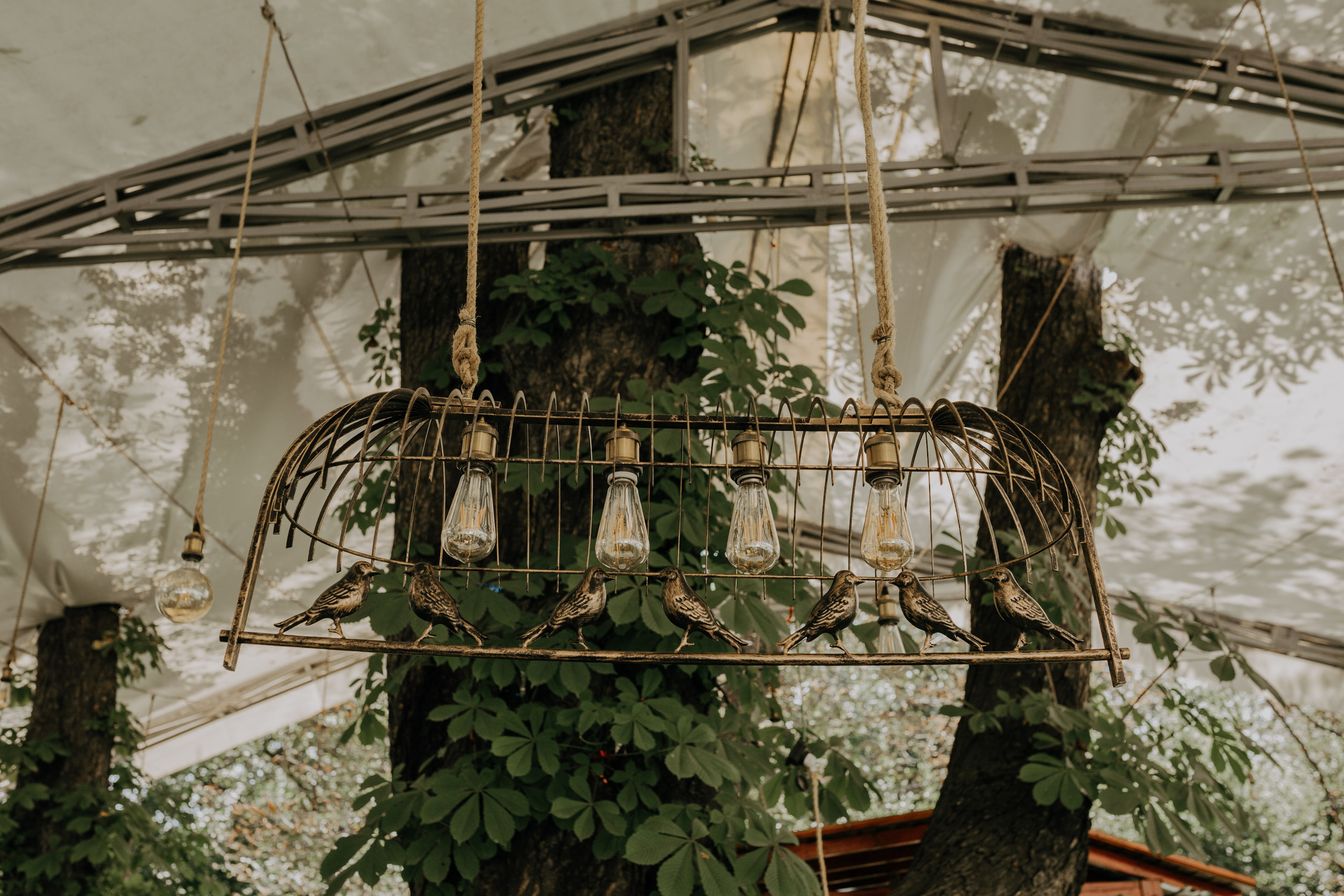 A & D. Fotograf Nunta Iasi - Hearts & Pictures