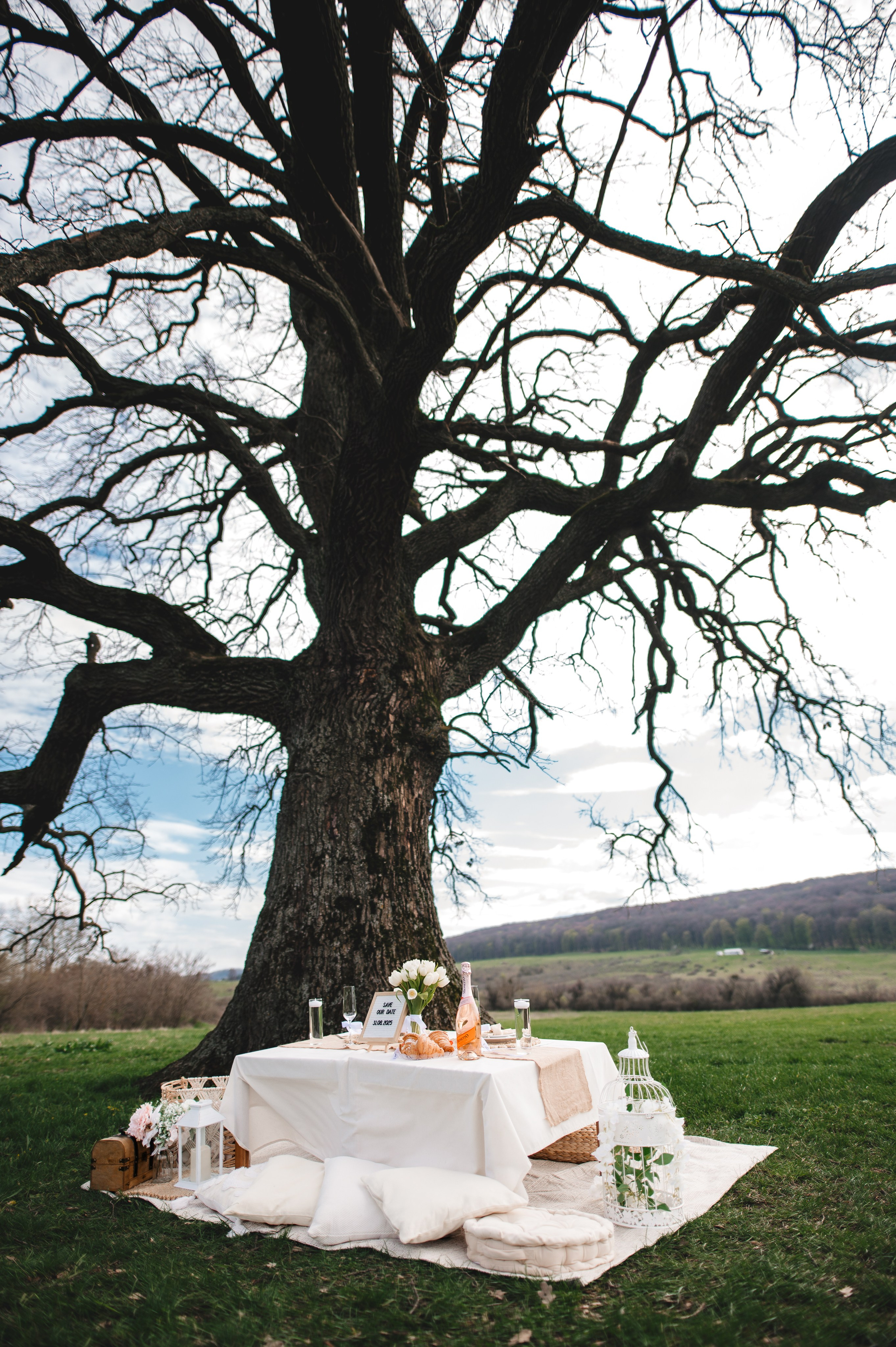 Mădălina + Alexandru | Bârnova, Iași. FotoVizion Iași