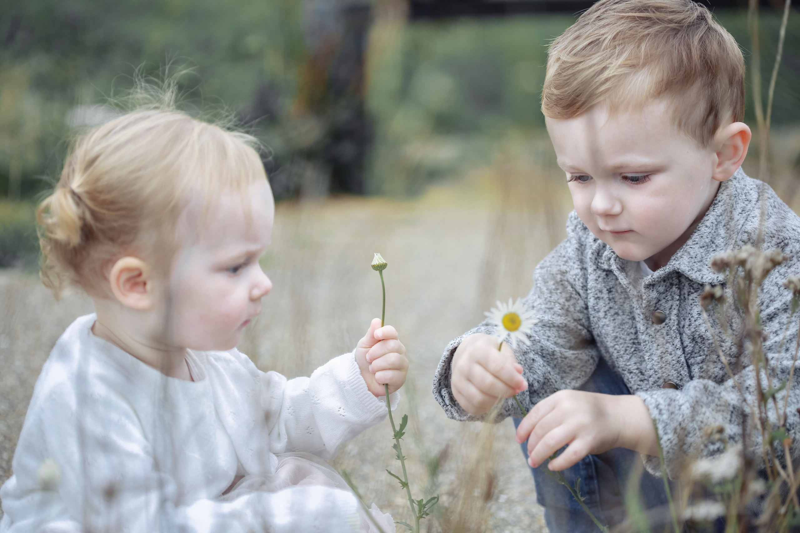 Orna & Colin, Charlie & Hailey. Wedding and family photographer in Cork, Ireland. Tigran