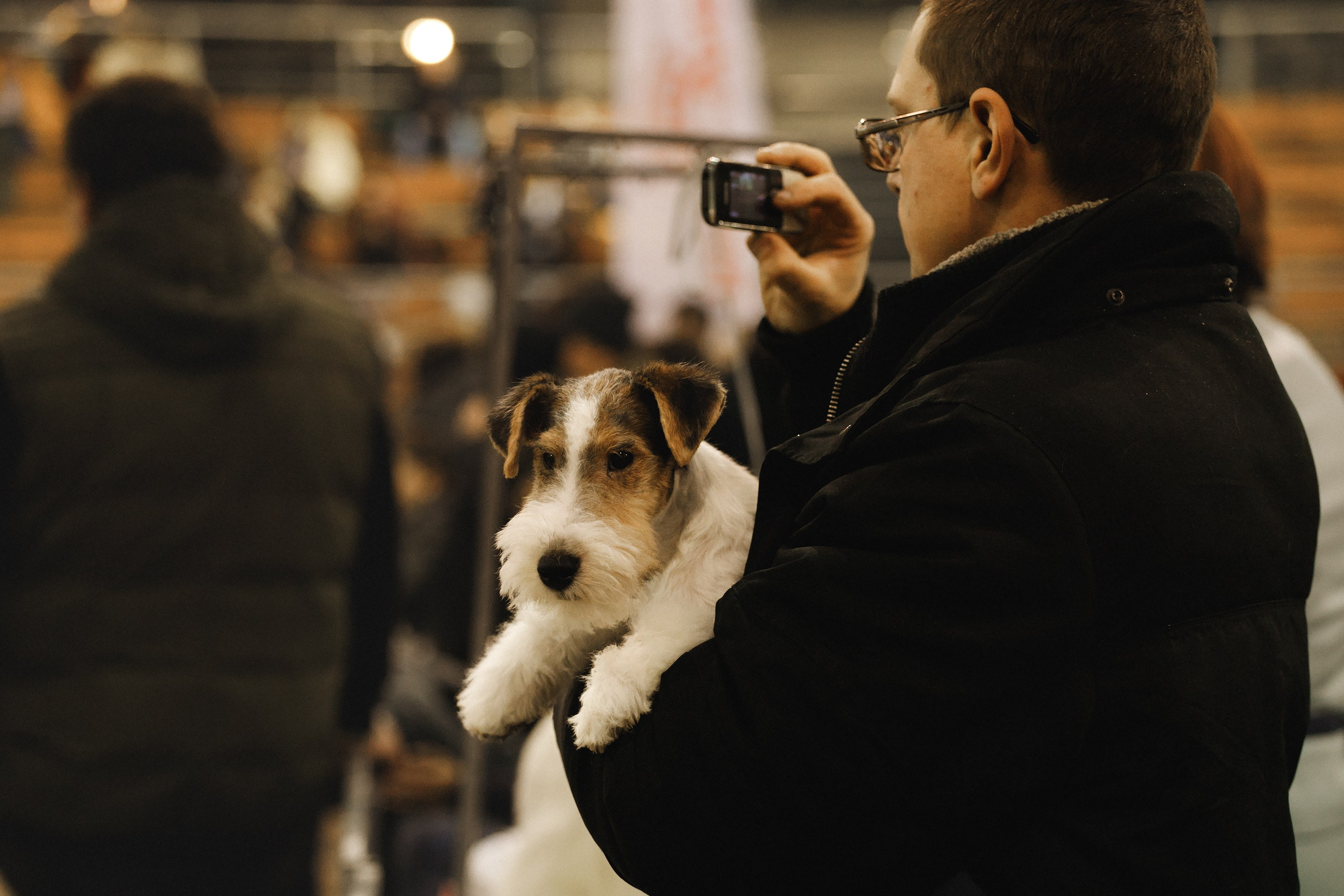 Dog shows | the best ones. Kaja | fotograf psów we Wrocławiu