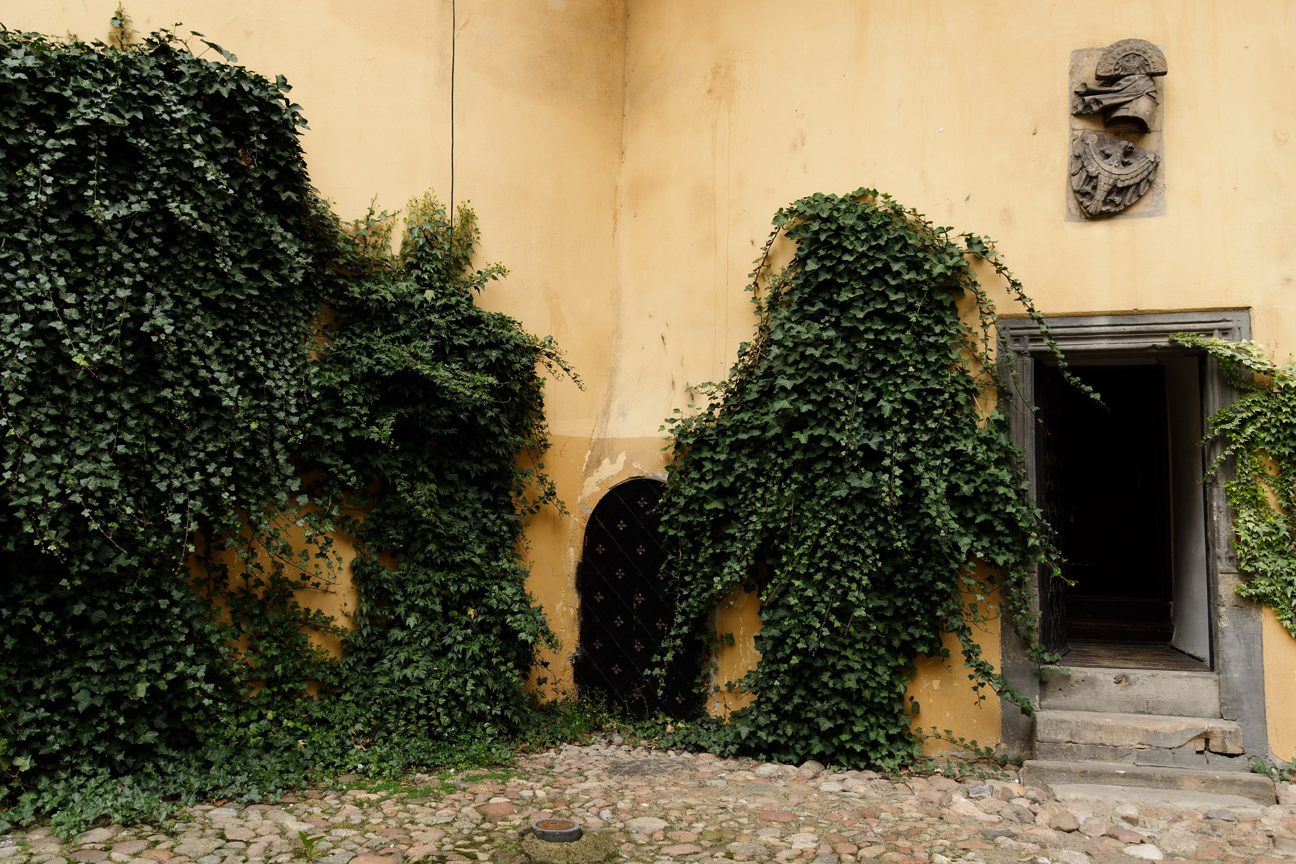 Oleśnica castle. Kaja | fotograf psów we Wrocławiu
