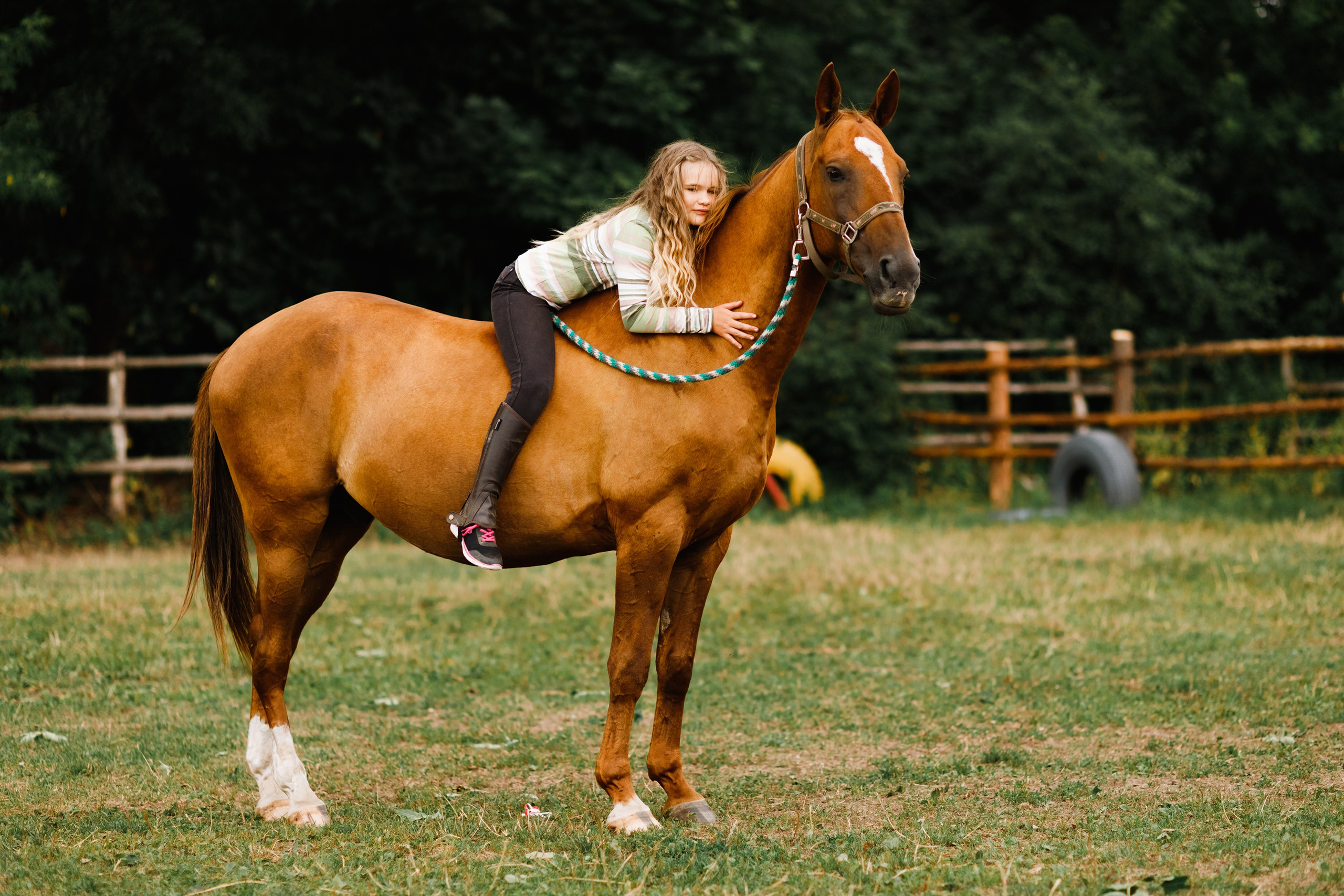 Girls & horses, summer. Kaja | fotograf psów we Wrocławiu