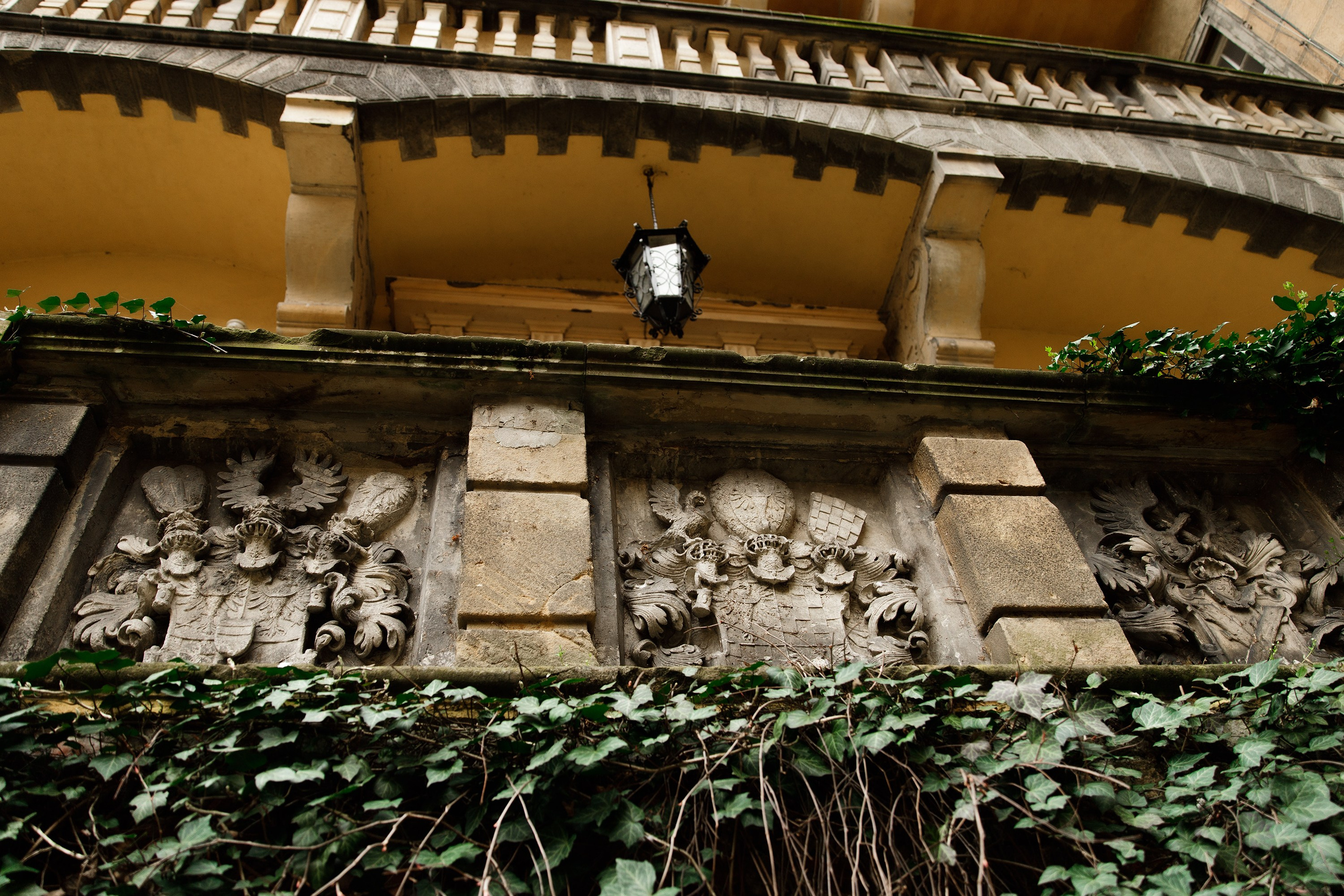 Oleśnica castle. Kaja | fotograf psów we Wrocławiu