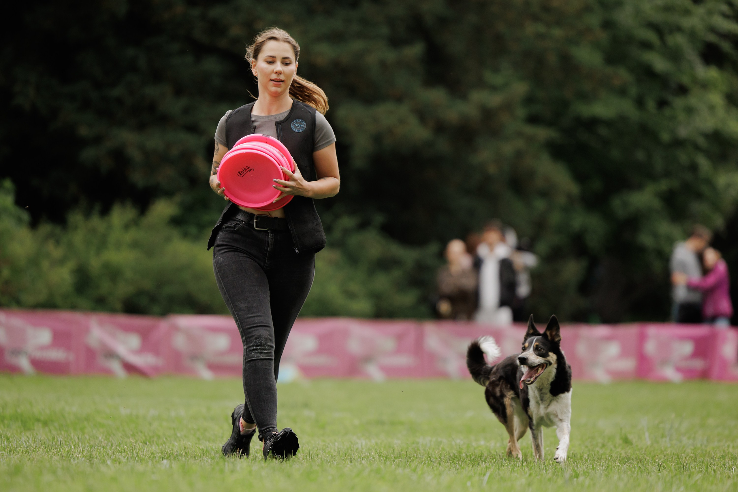 Latające psy, Wrocław'25. Kaja | fotograf psów we Wrocławiu