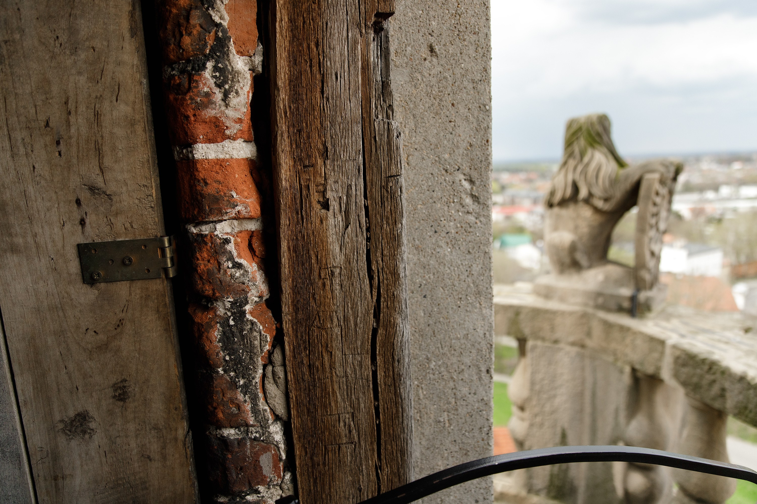 Oleśnica castle. Kaja | fotograf psów we Wrocławiu