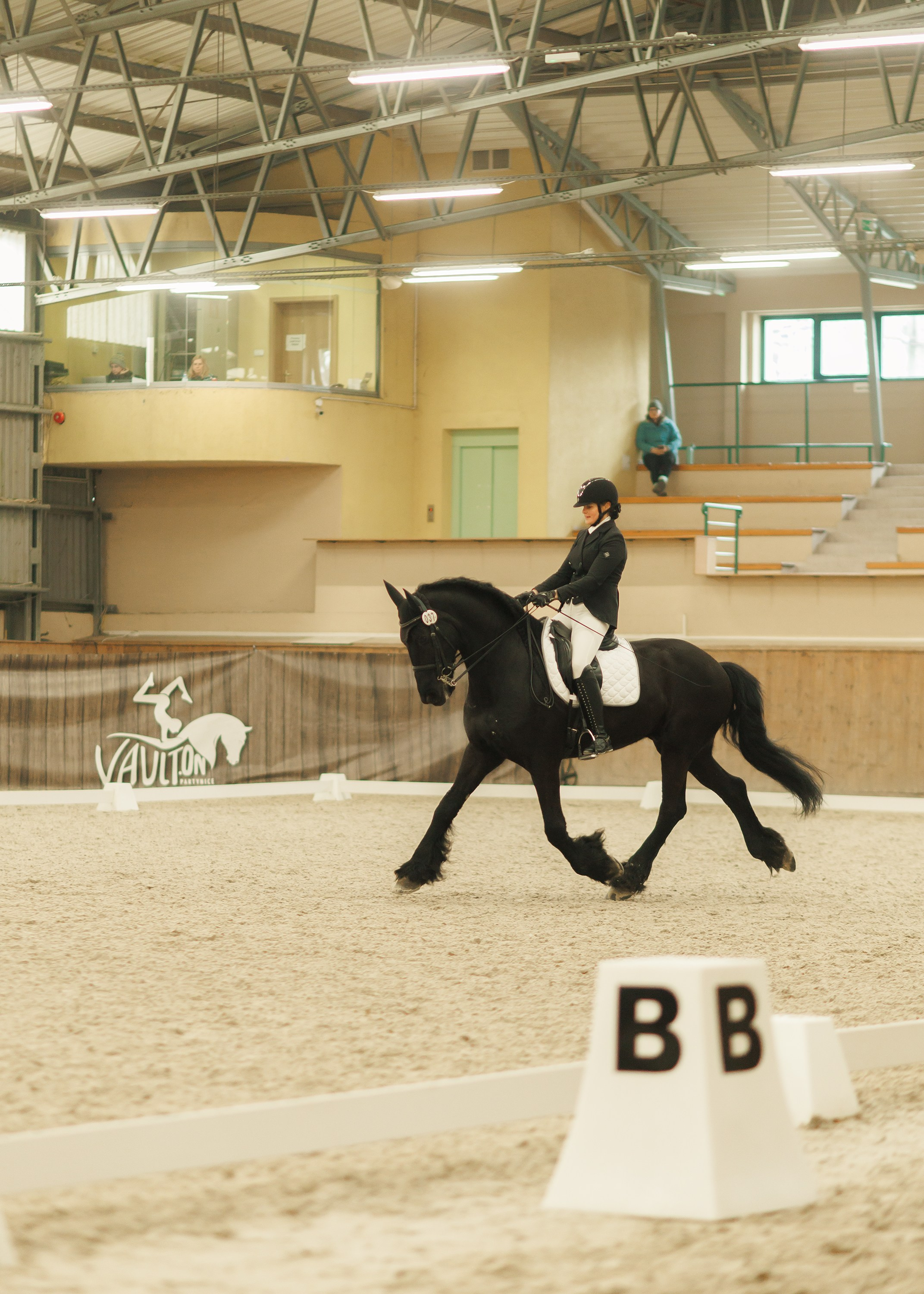 Fotografia koni Wrocław \ ujeżdżenie, Partynice. Kaja | fotograf we Wrocławiu | ludzie i psy