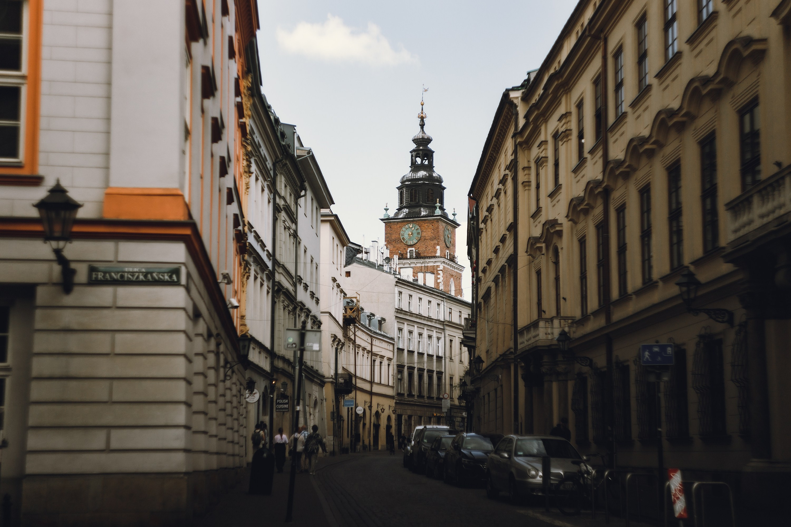 Krakow. Kaja | fotograf psów we Wrocławiu