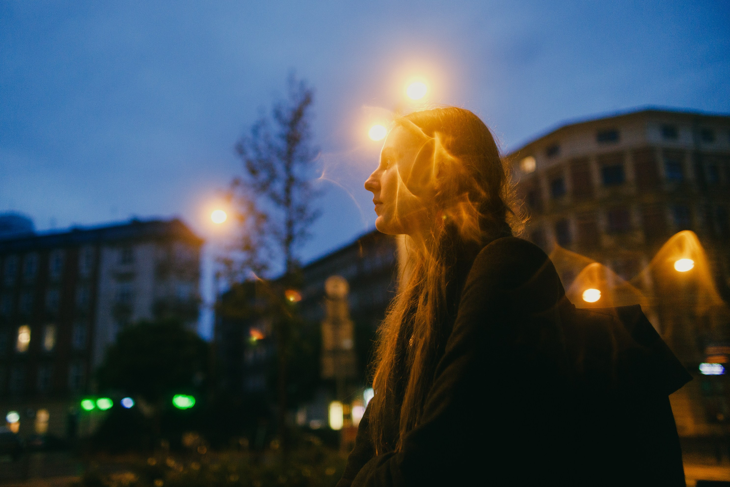 Night rainy Wroclaw. Kaja | fotograf psów we Wrocławiu