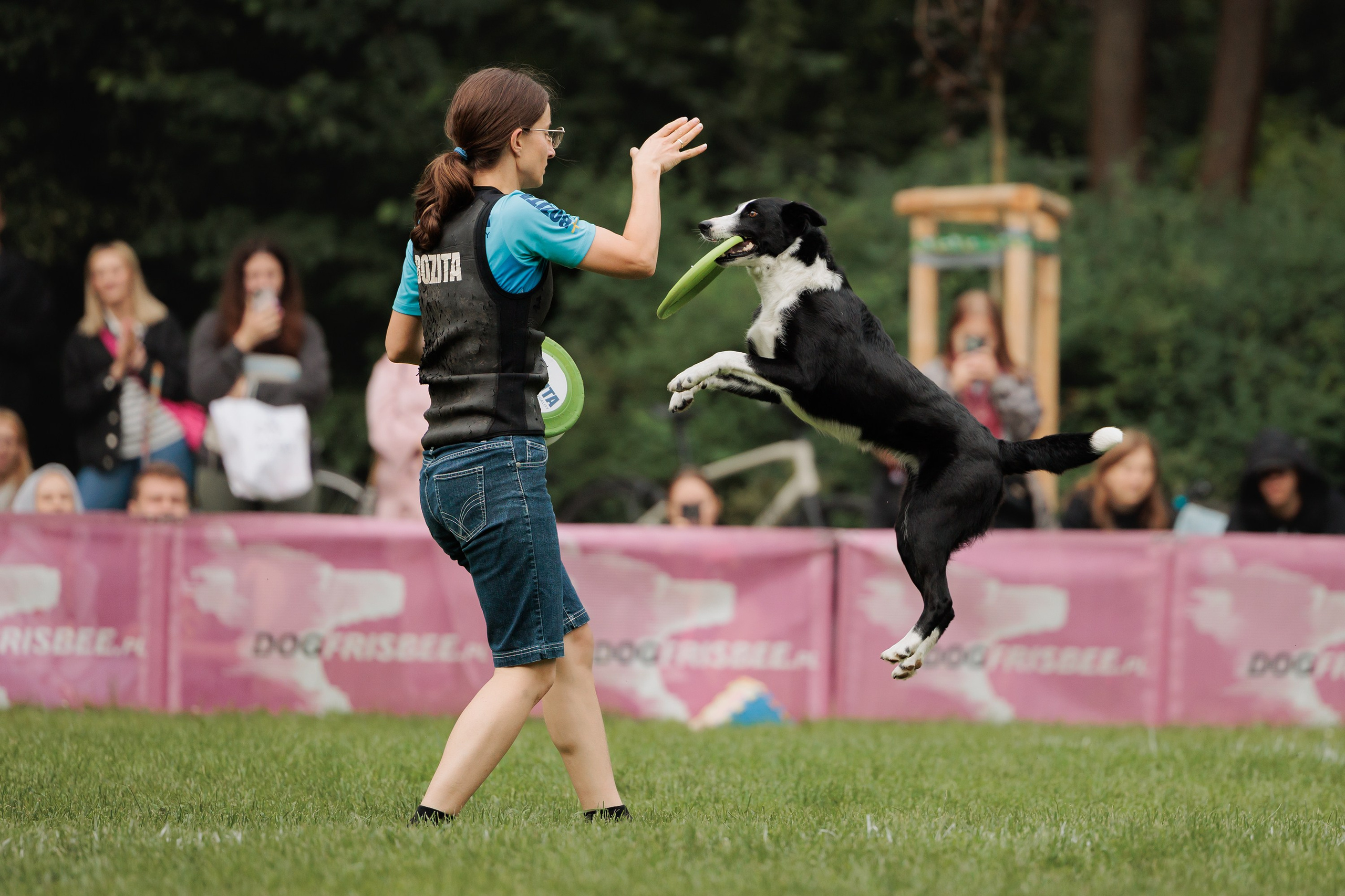 Latające psy, Wrocław'25. Kaja | fotograf psów we Wrocławiu