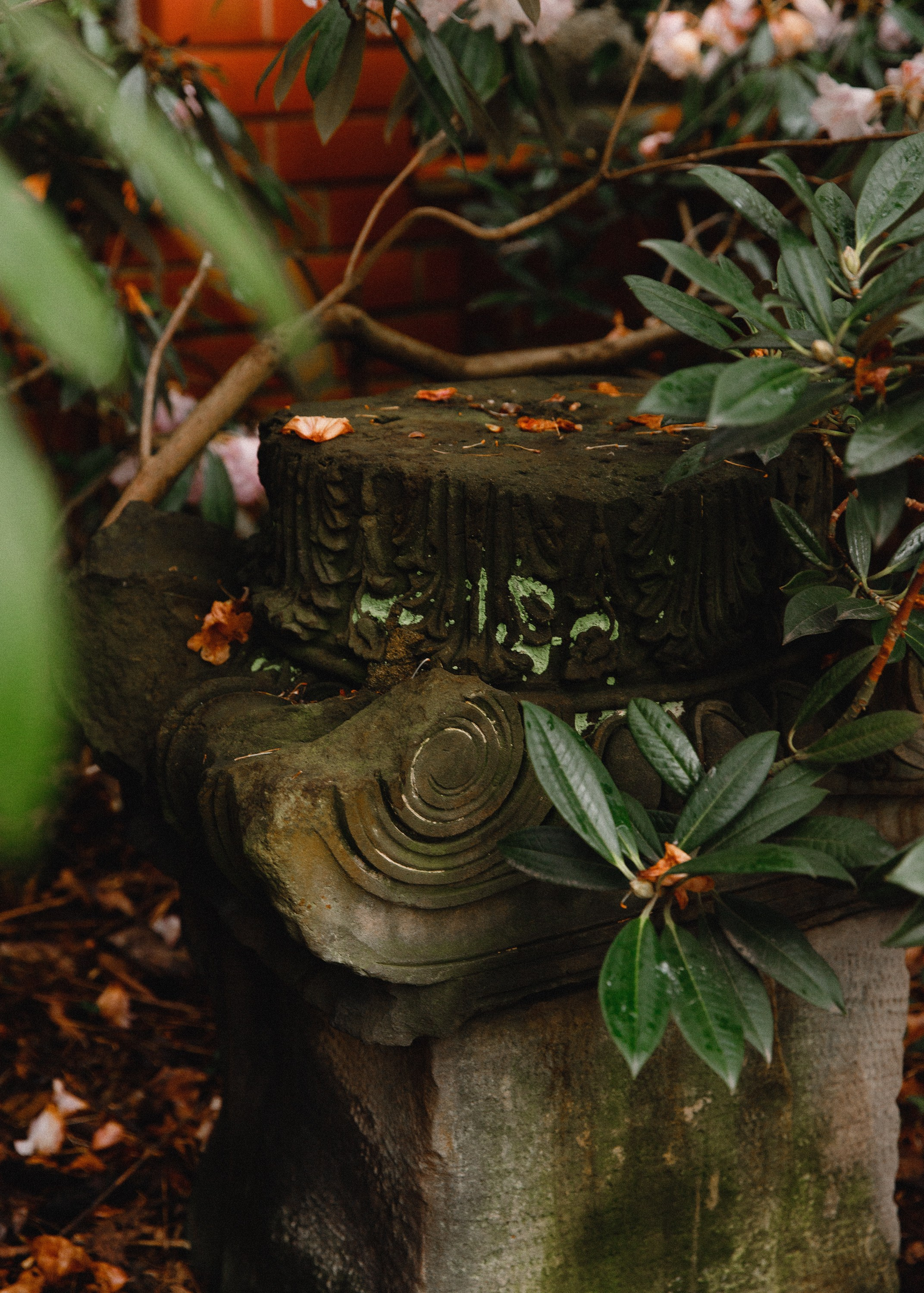 Botanical garden in Wroclaw. Kaja | fotograf we Wrocławiu | ludzie i psy