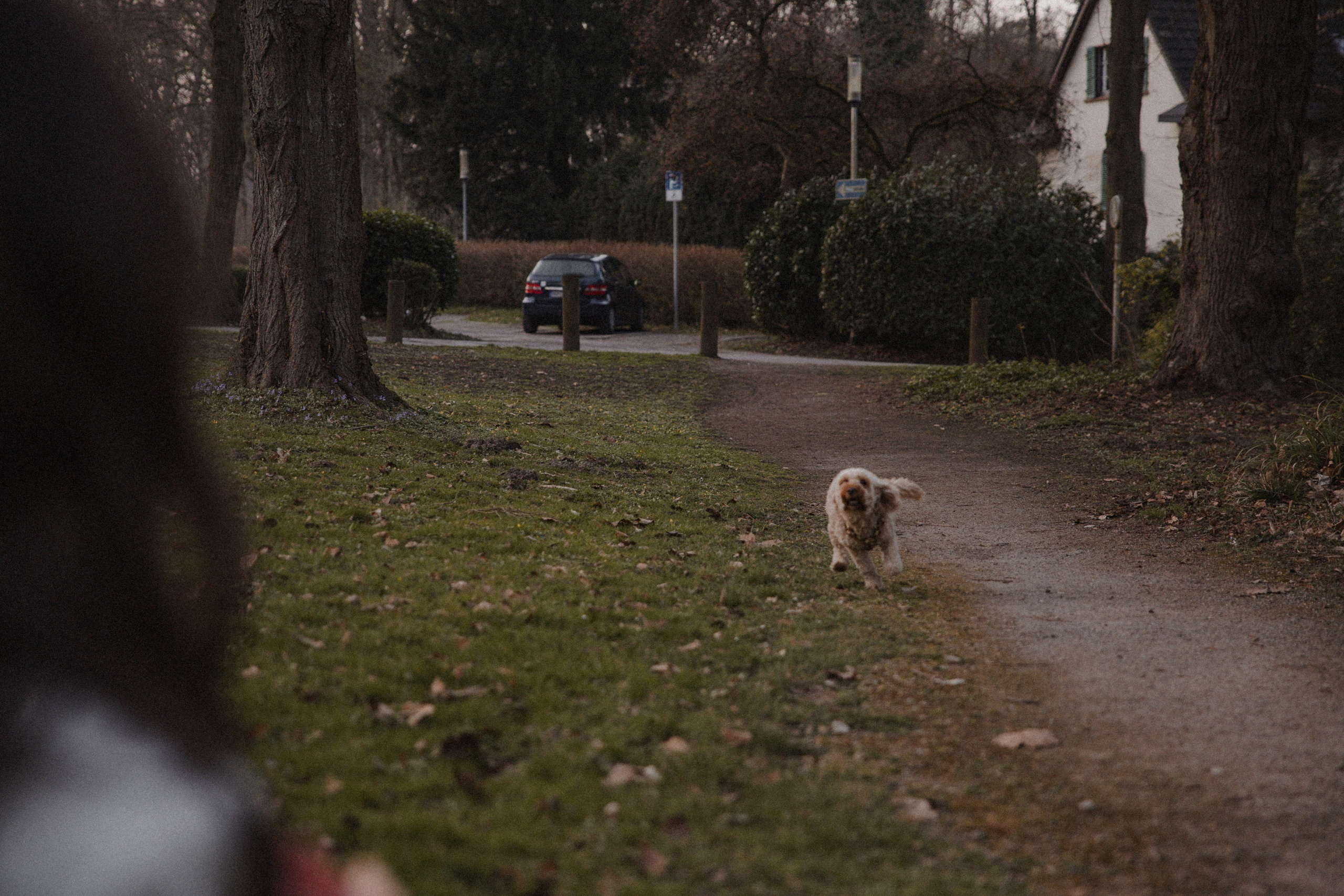 Morena & Niklas I Haus Hohenstein. Hochzeitsfotografin Bochum | Halyna Reiche Fotografie NRW