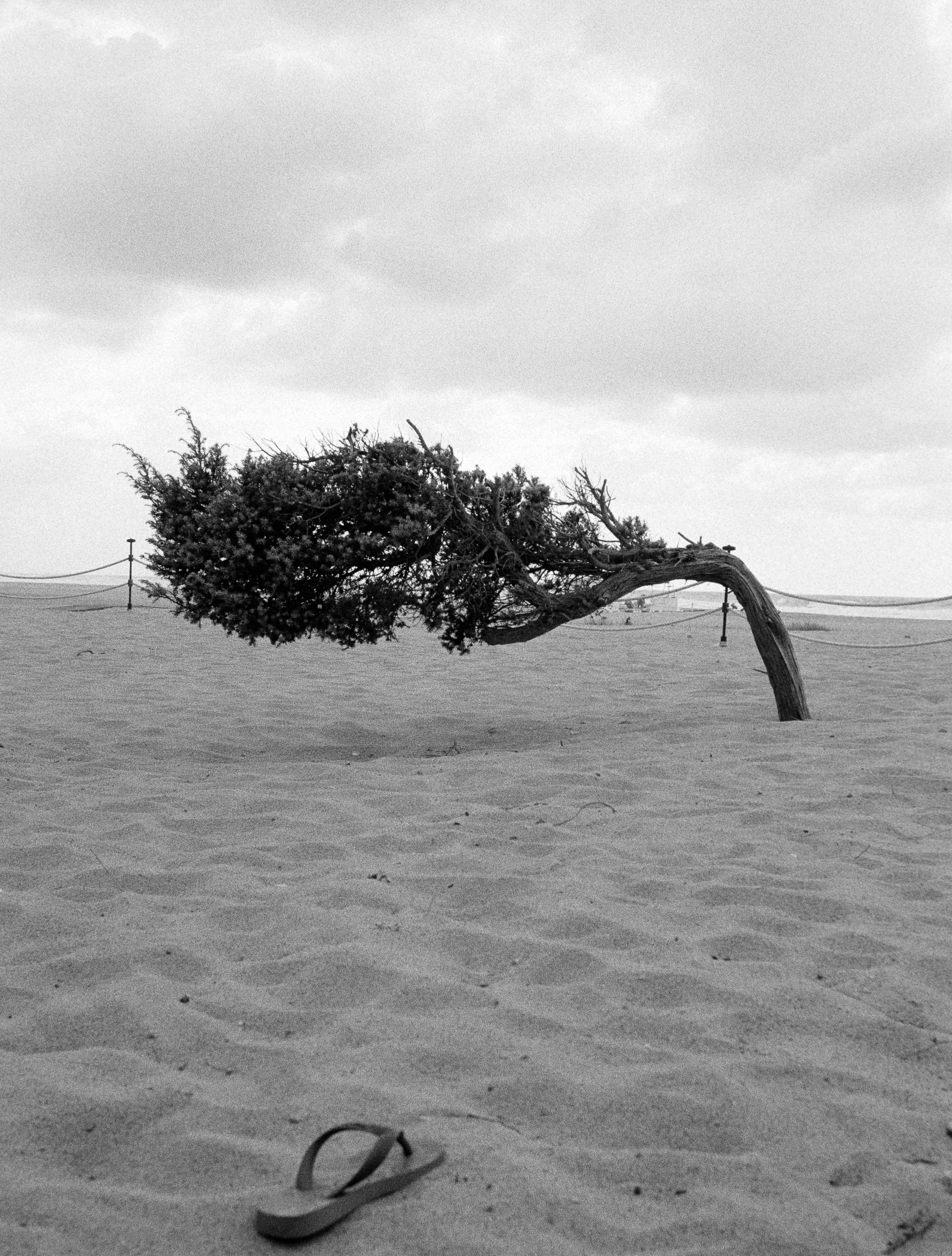 Little People. Nina Kordes - Visual Artist