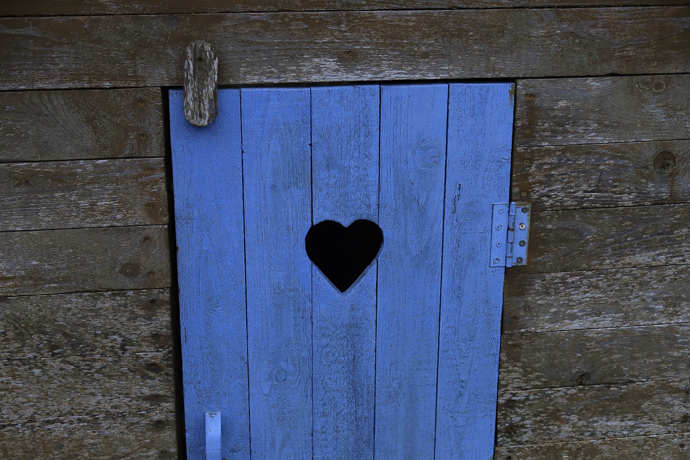 Neuf. Family and Portraits photographer Diana Andoni