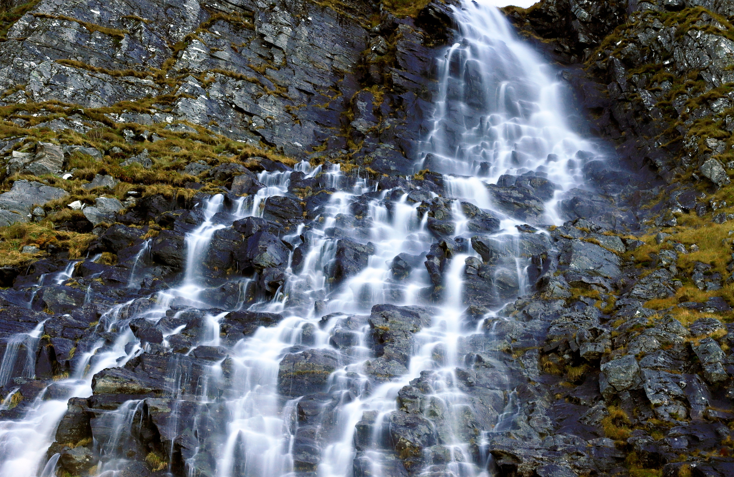 Prints by D.Todosyev