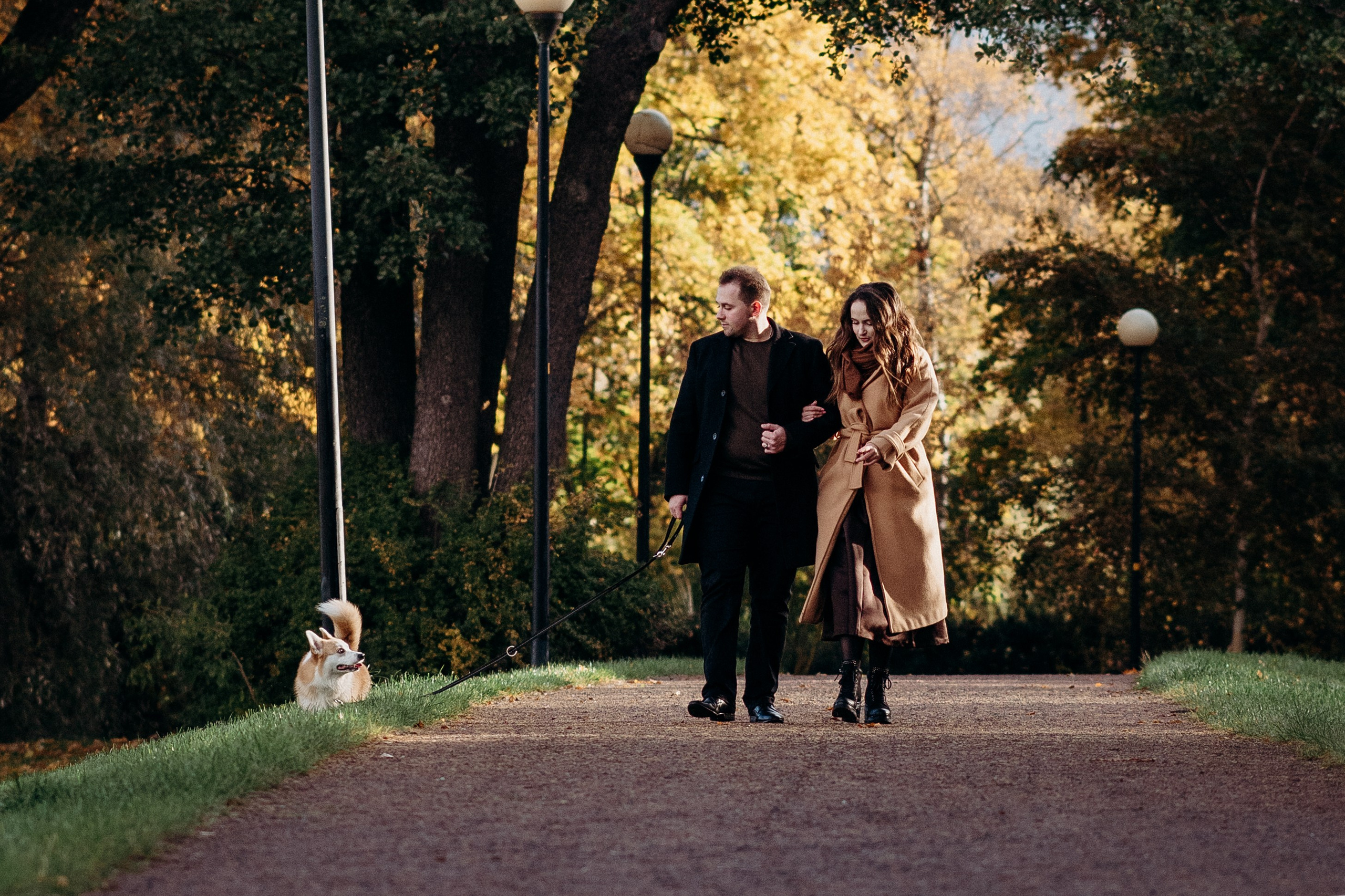 Liisa, Alexander & Marsel. Фотограф-анималист в Таллинне, Катя Лайсаар