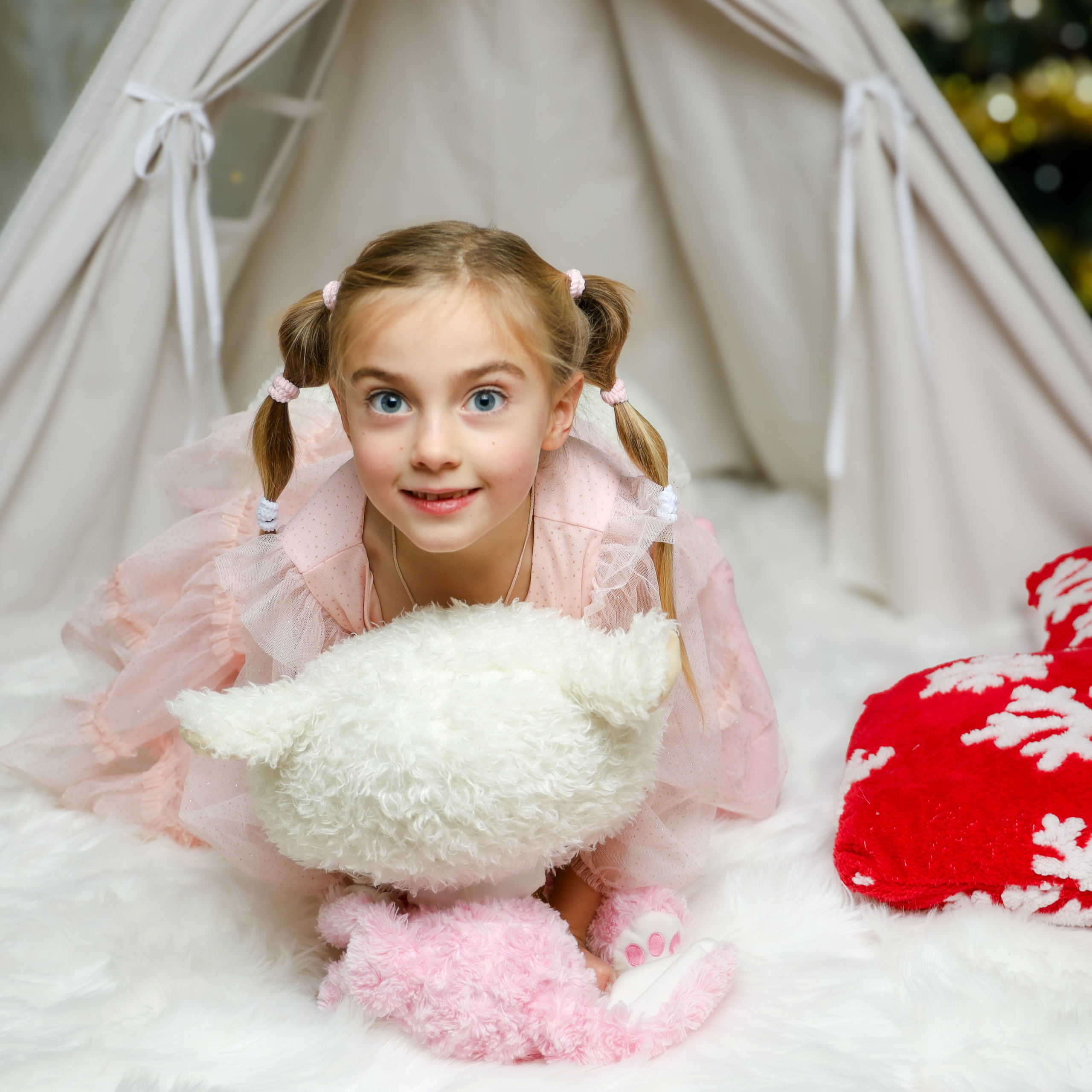 Christmas. Olga Rocheva Photography