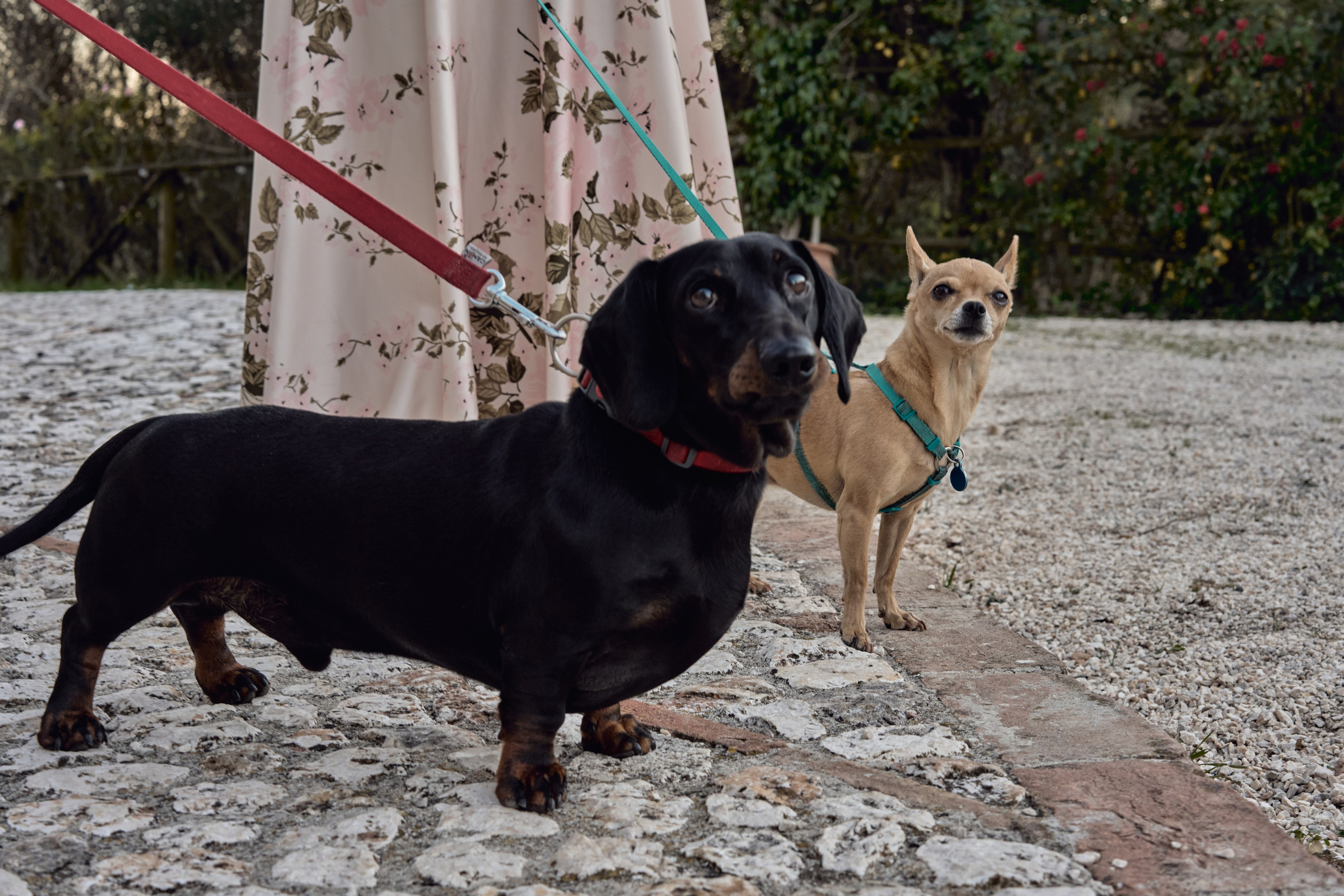 Eleonora & Lorenzo. Gianluca Massoli | Italian Wedding Photographer in Umbria, Tuscany & Lazio