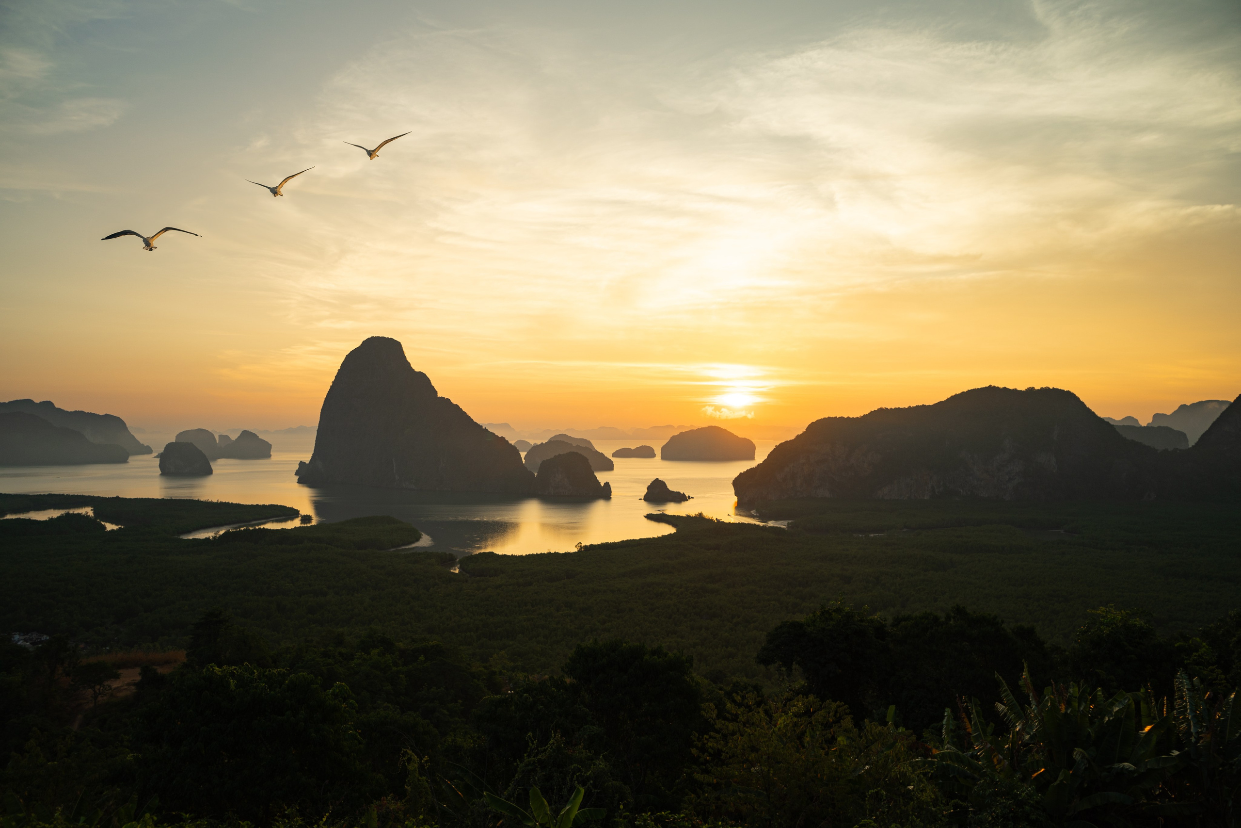 Nature photography. Creative shooting. Photographer in the UAE