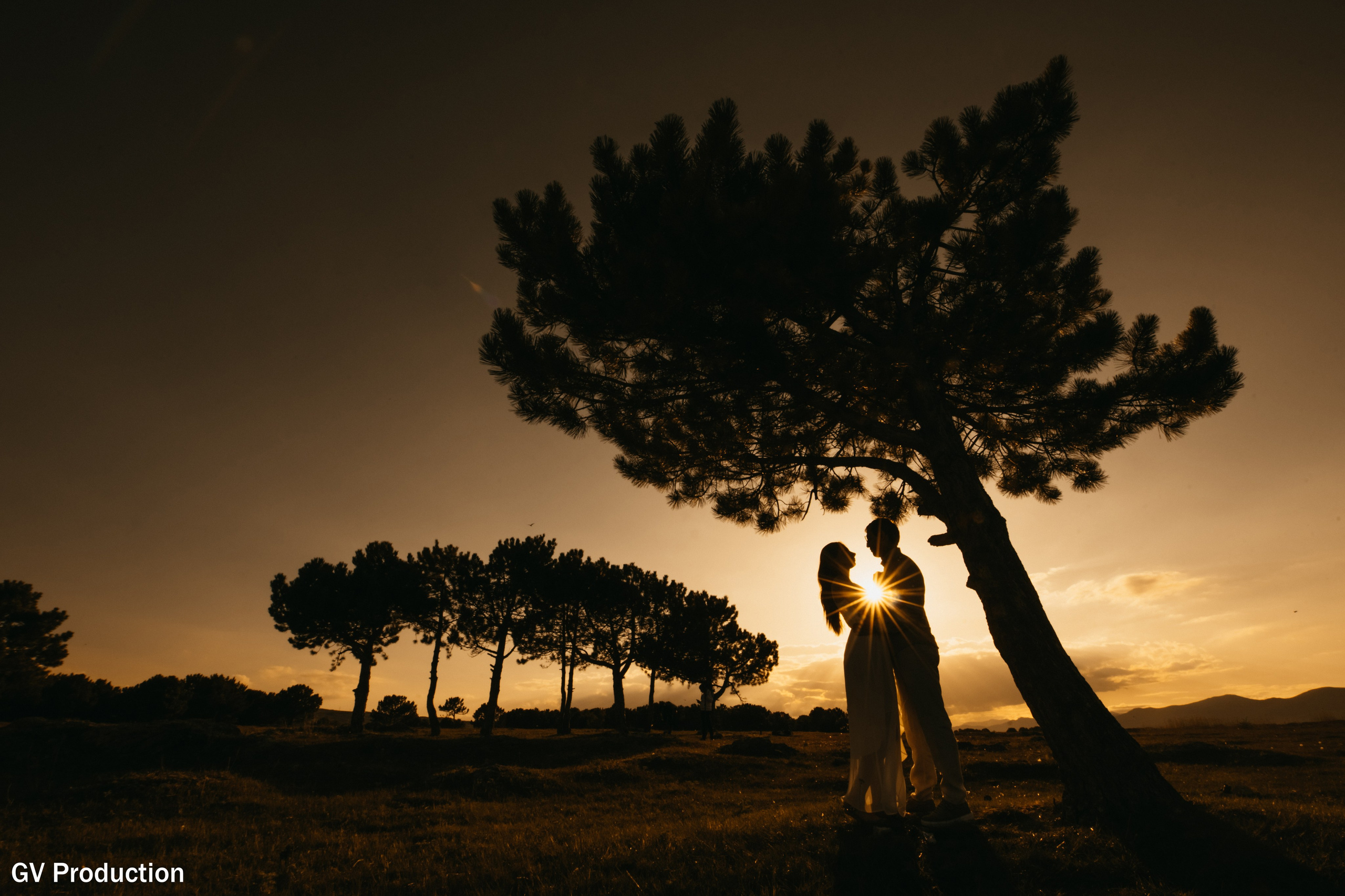 Arthur & Narine (pre Wedding). Wedding photos and video shooting in Armenia and all over the world!!! Photographer in Yerevan
