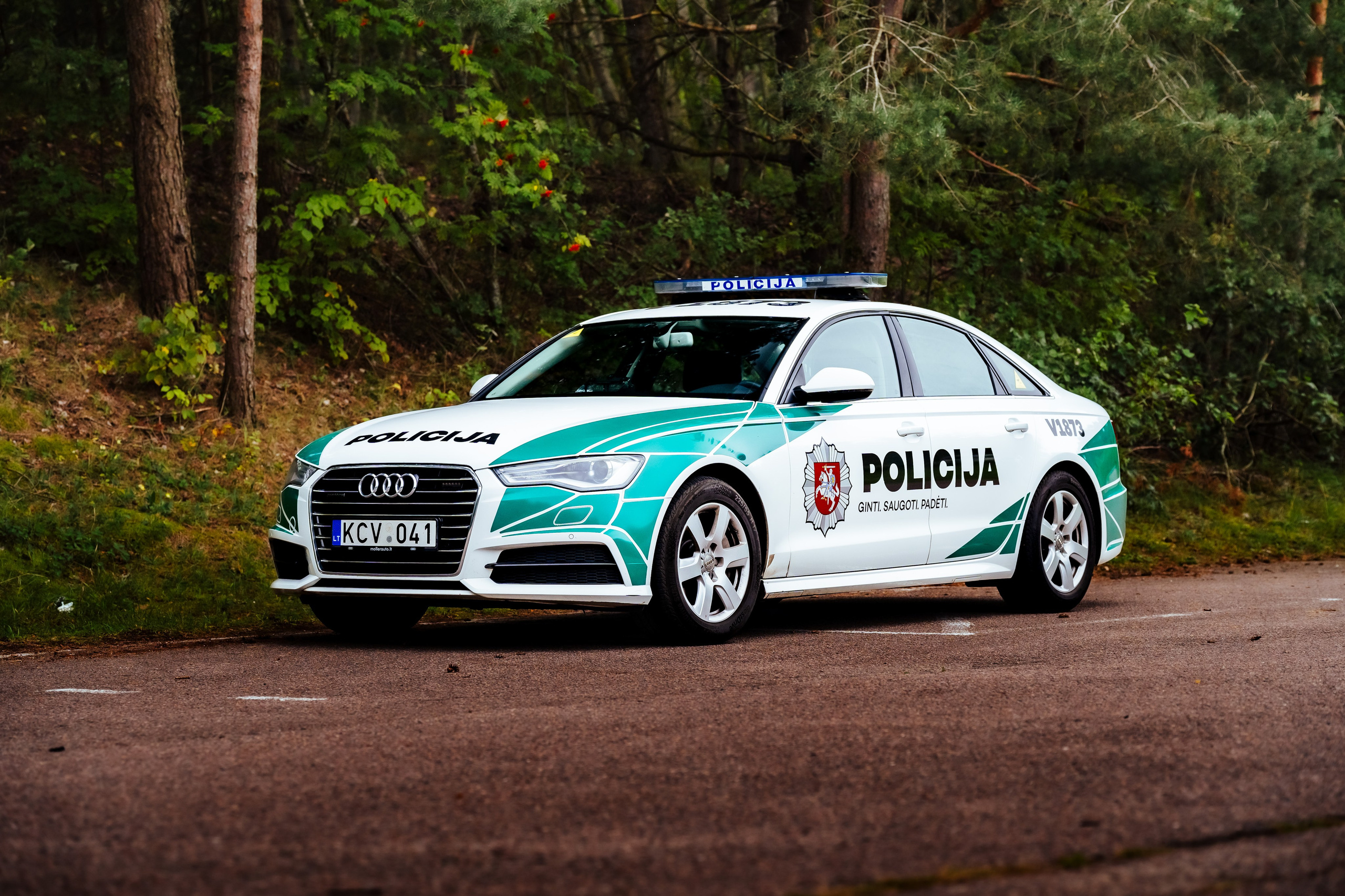 Police Cars. OnePIXEL