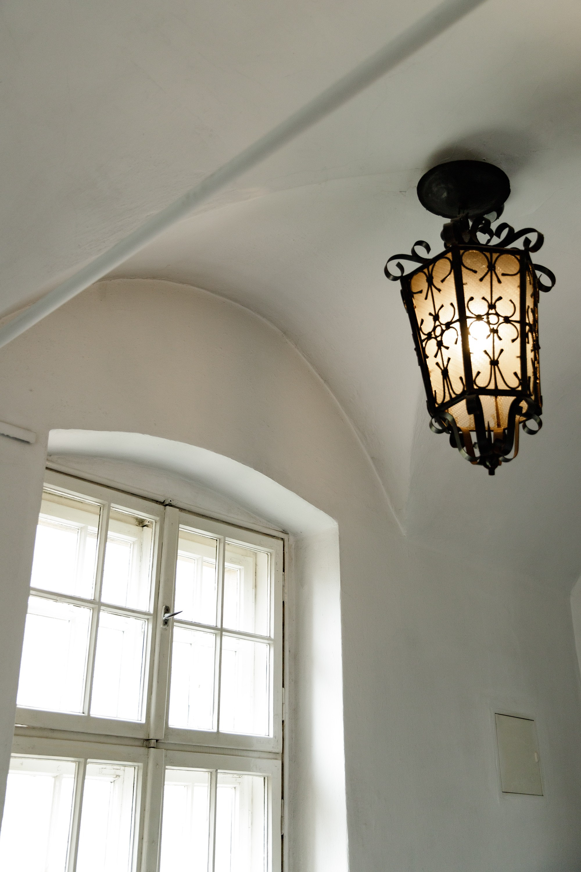 Oleśnica castle. Kaja | fotograf psów we Wrocławiu