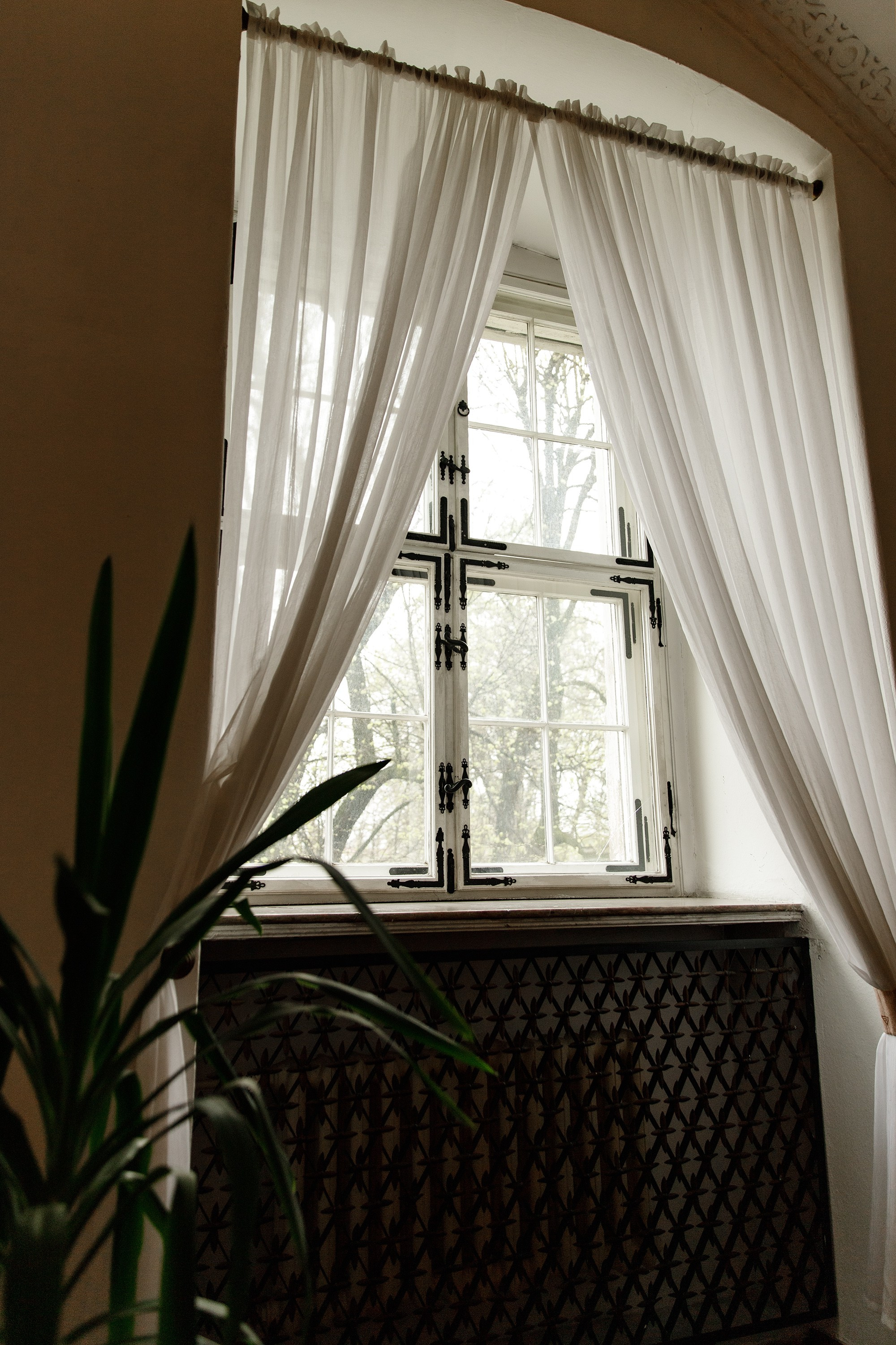 Oleśnica castle. Kaja | fotograf psów we Wrocławiu