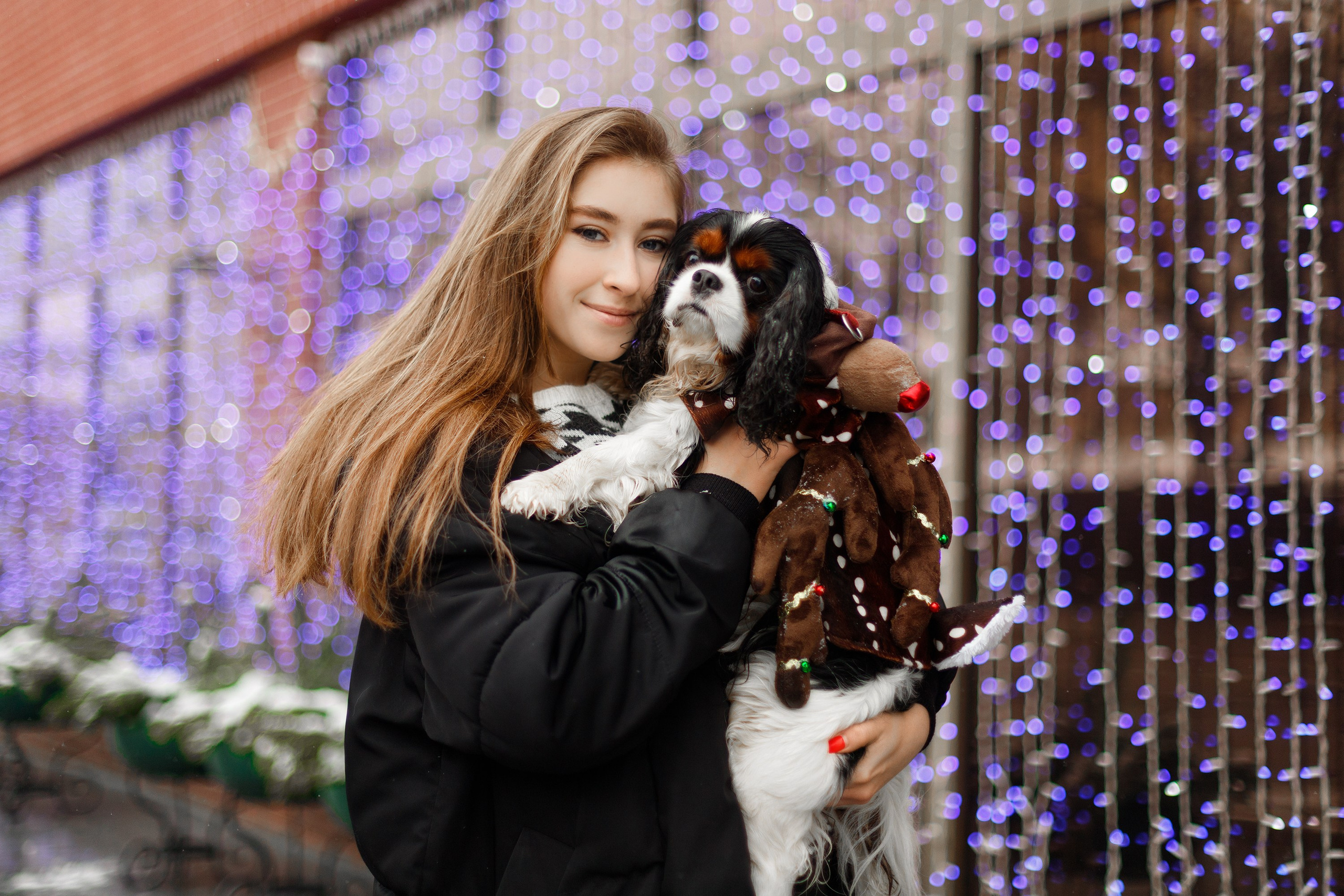 Uliana & winter spaniels. Kaja | fotograf psów we Wrocławiu