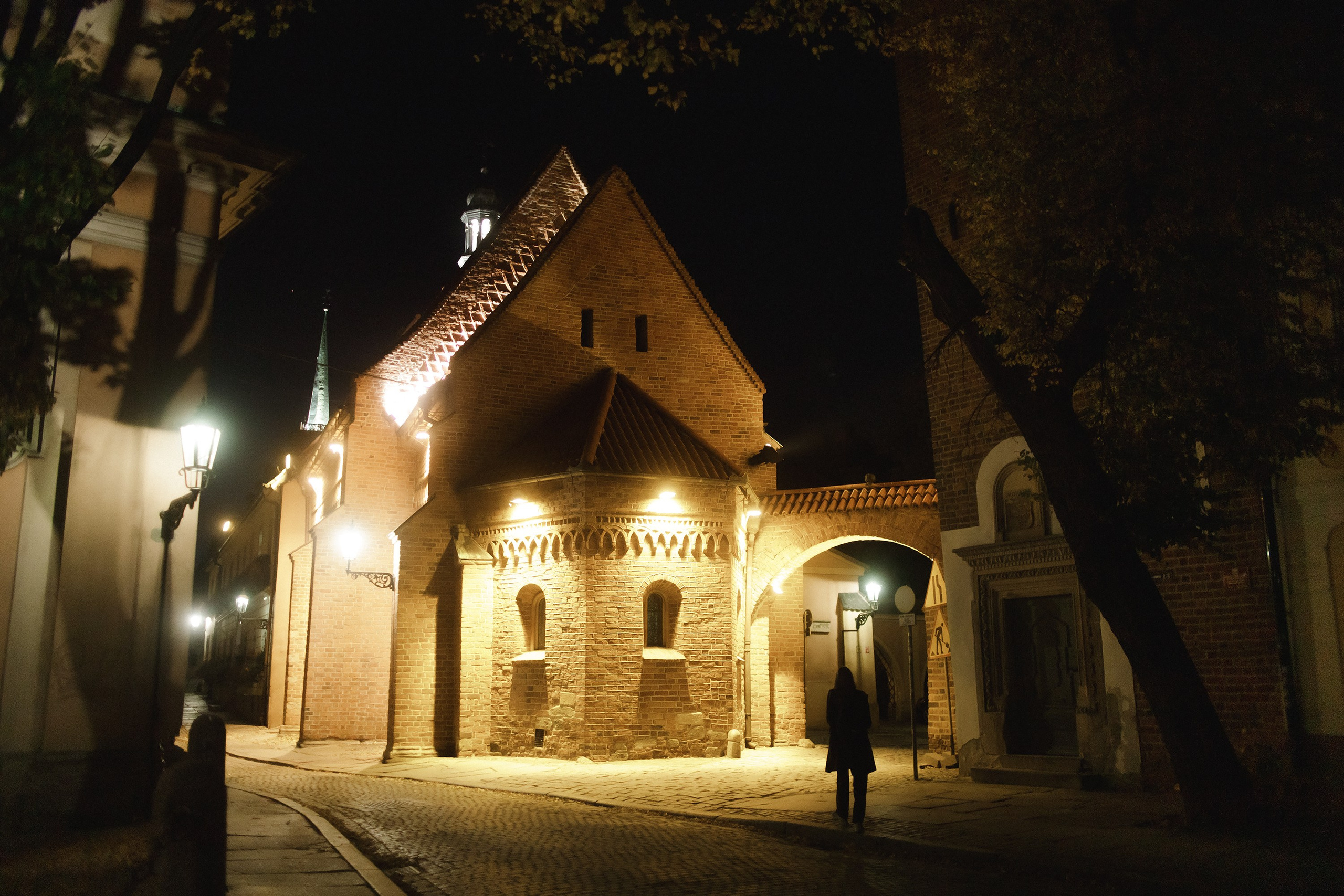 Nastya. Kaja | fotograf psów we Wrocławiu