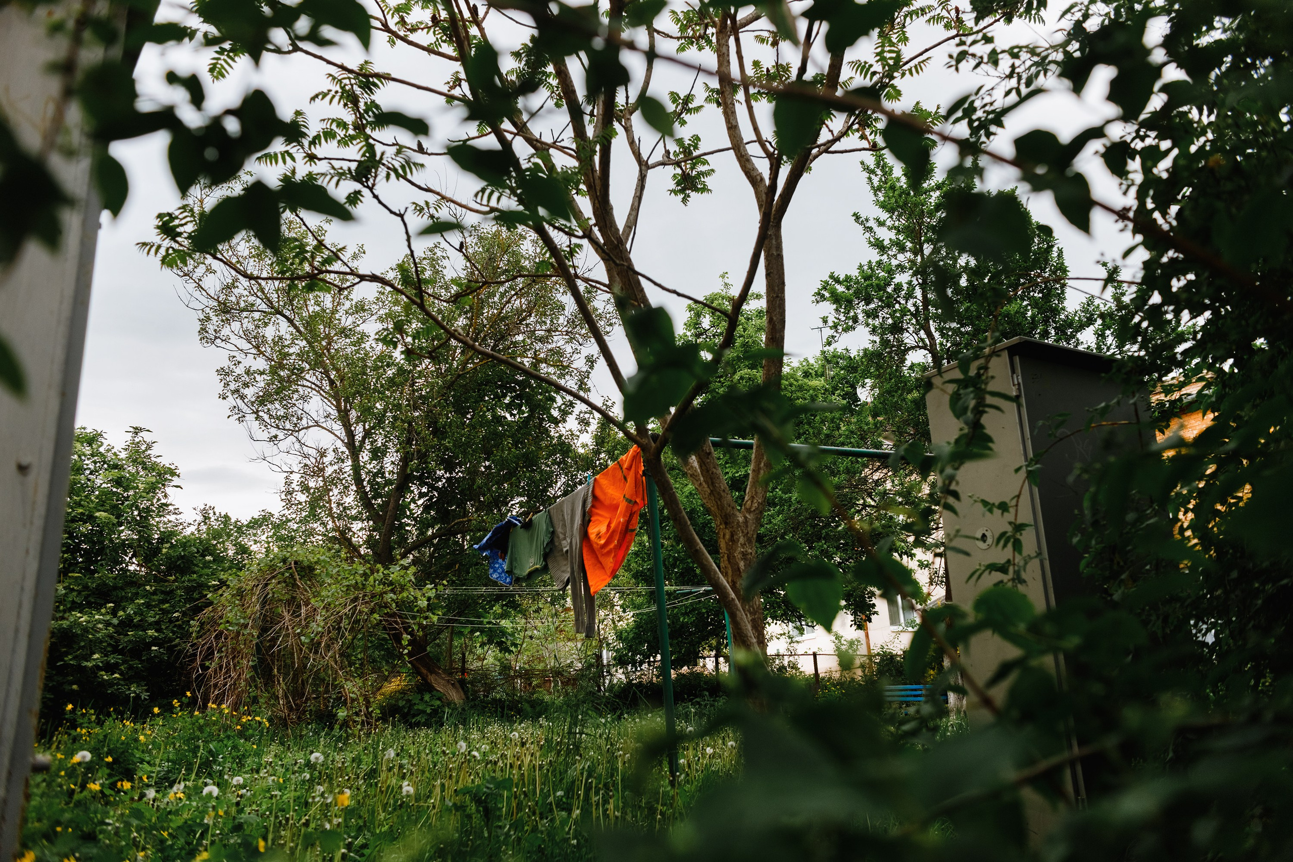 Grodno. Kaja | fotograf we Wrocławiu | ludzie i psy