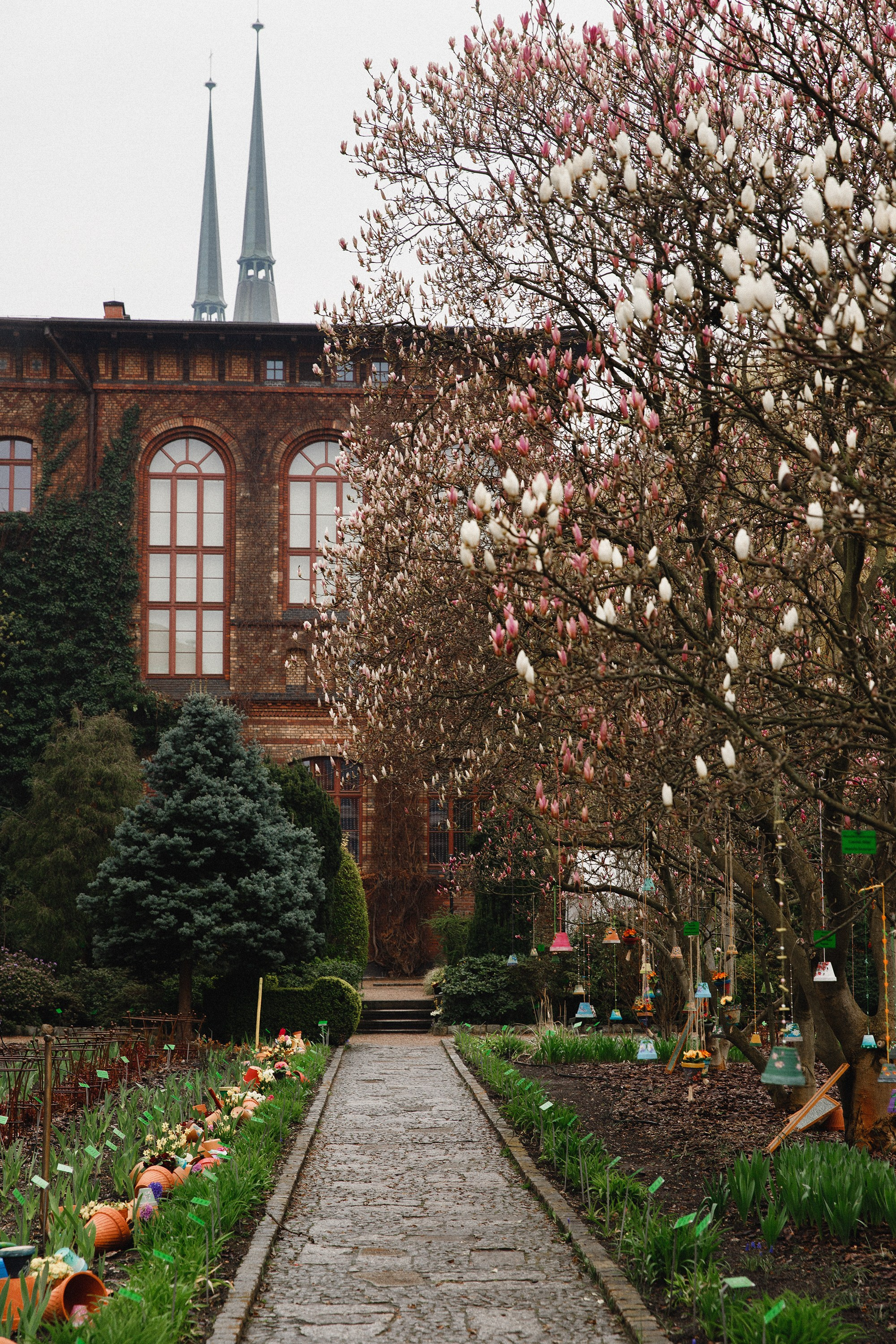 Botanical garden in Wroclaw. Kaja | fotograf we Wrocławiu | ludzie i psy