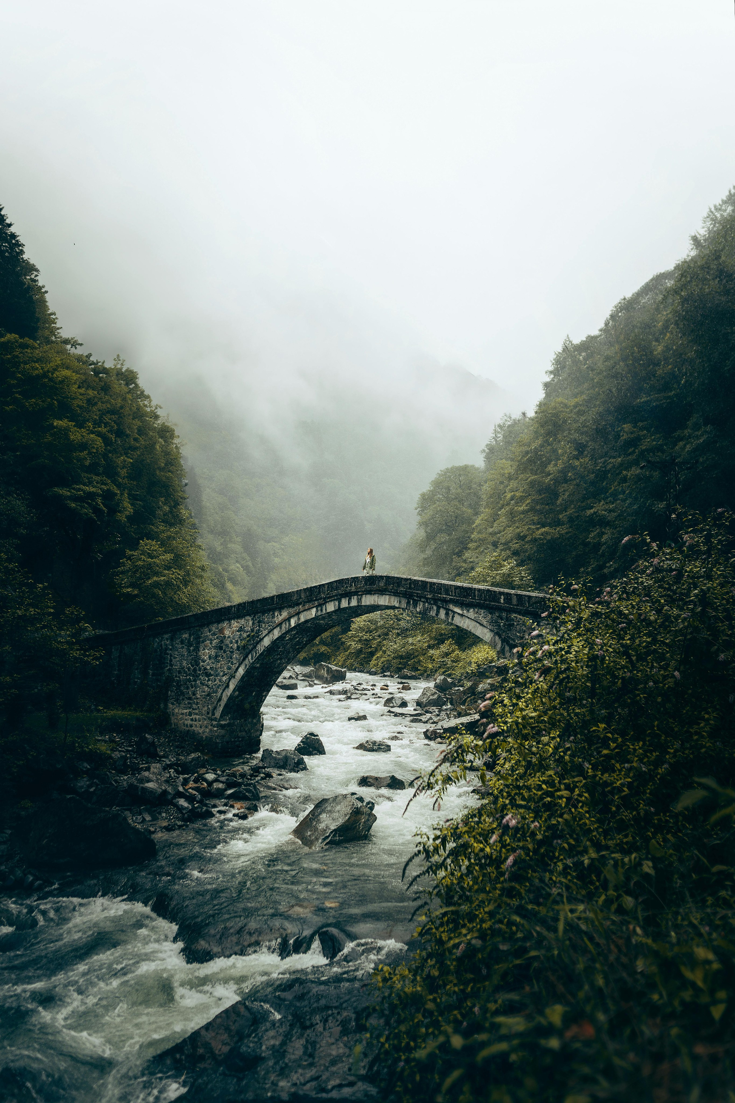 Север Турции: Трабзон, Ризе. Lavi Group by lavitravel