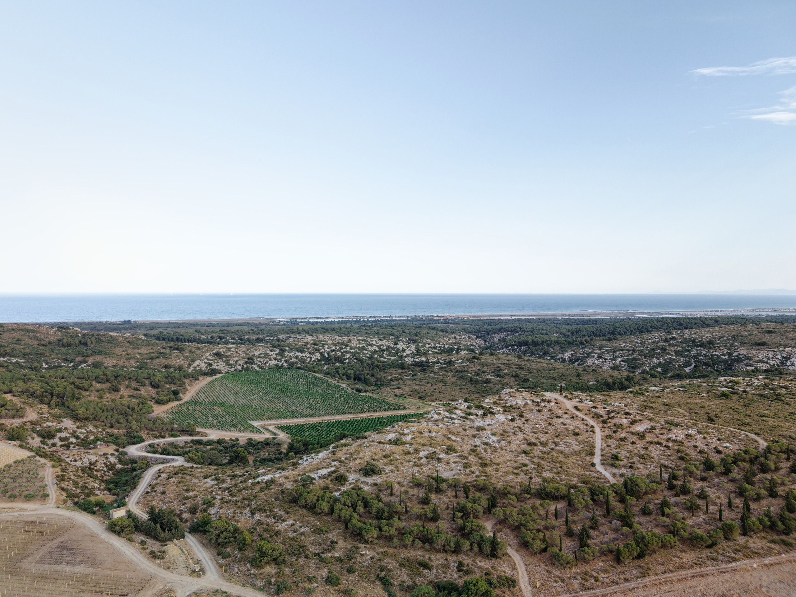 Wedding at Château L’Hospitalet in Narbonne, France. Destination Wedding Photographer — Nikita Burtsev