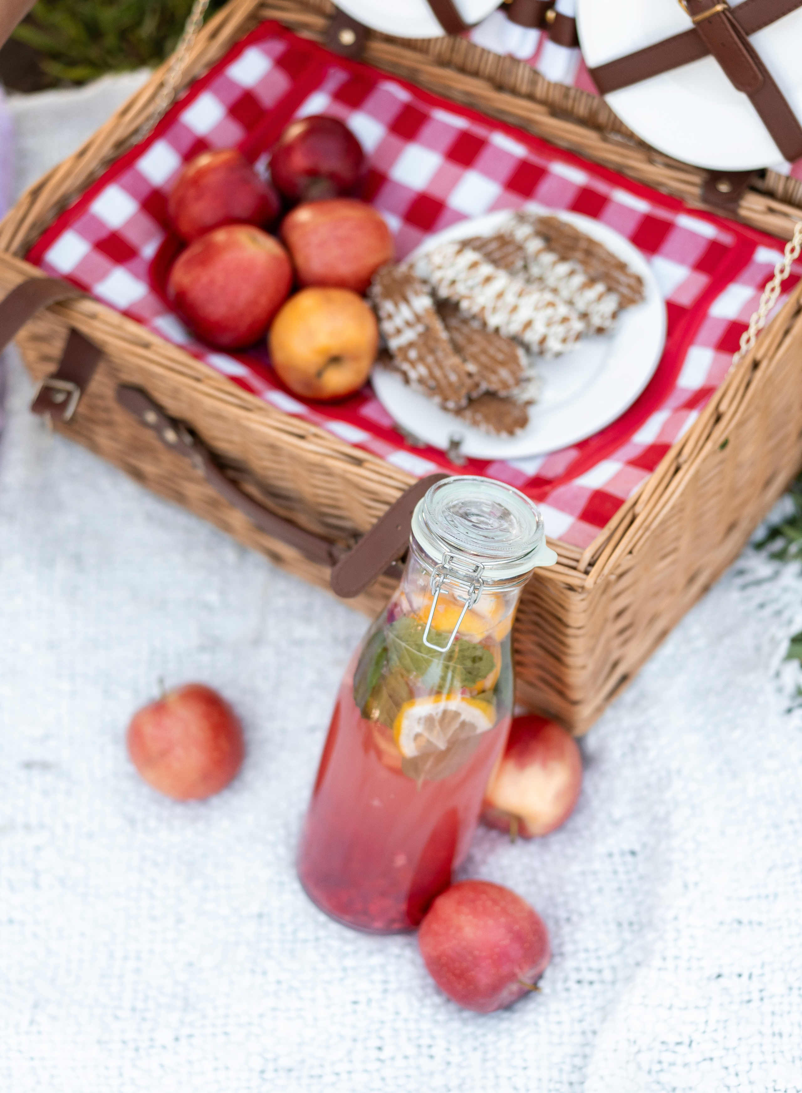 Beshta family. Family photographer in Sacramento | Sofia Pavenko