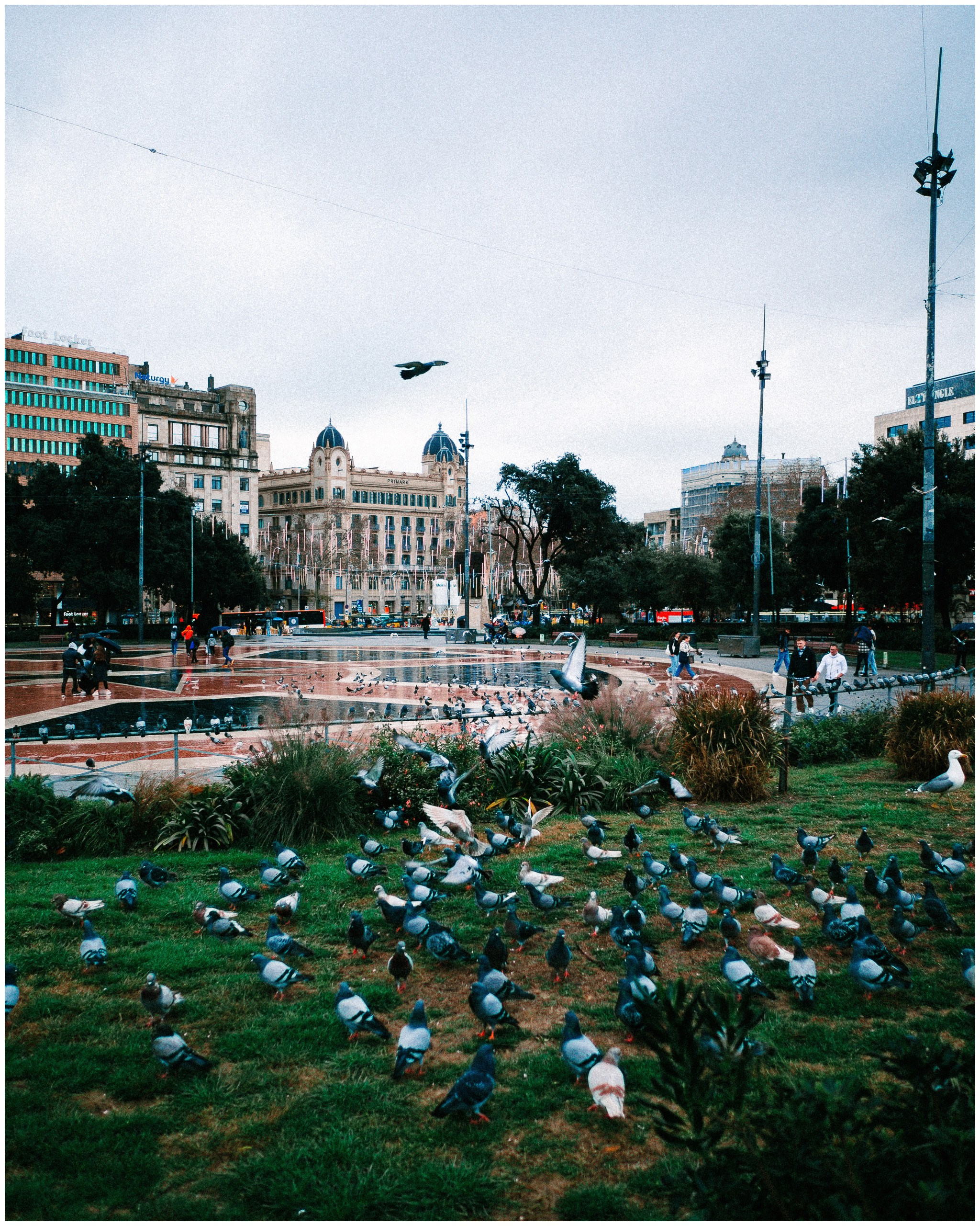 BARCELONA. Inna Mendelson — Photographer