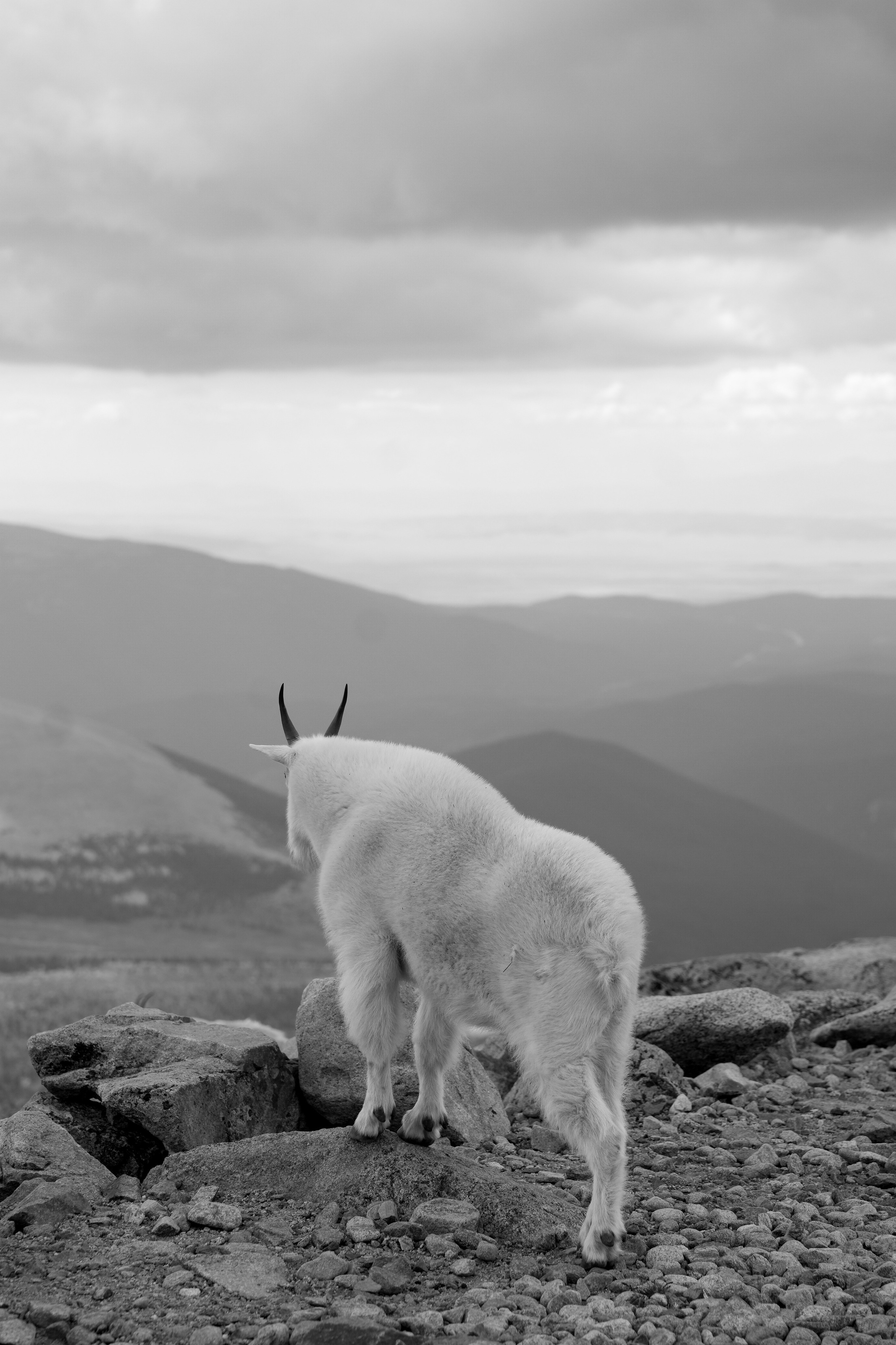 Photographer New York / Los Angeles