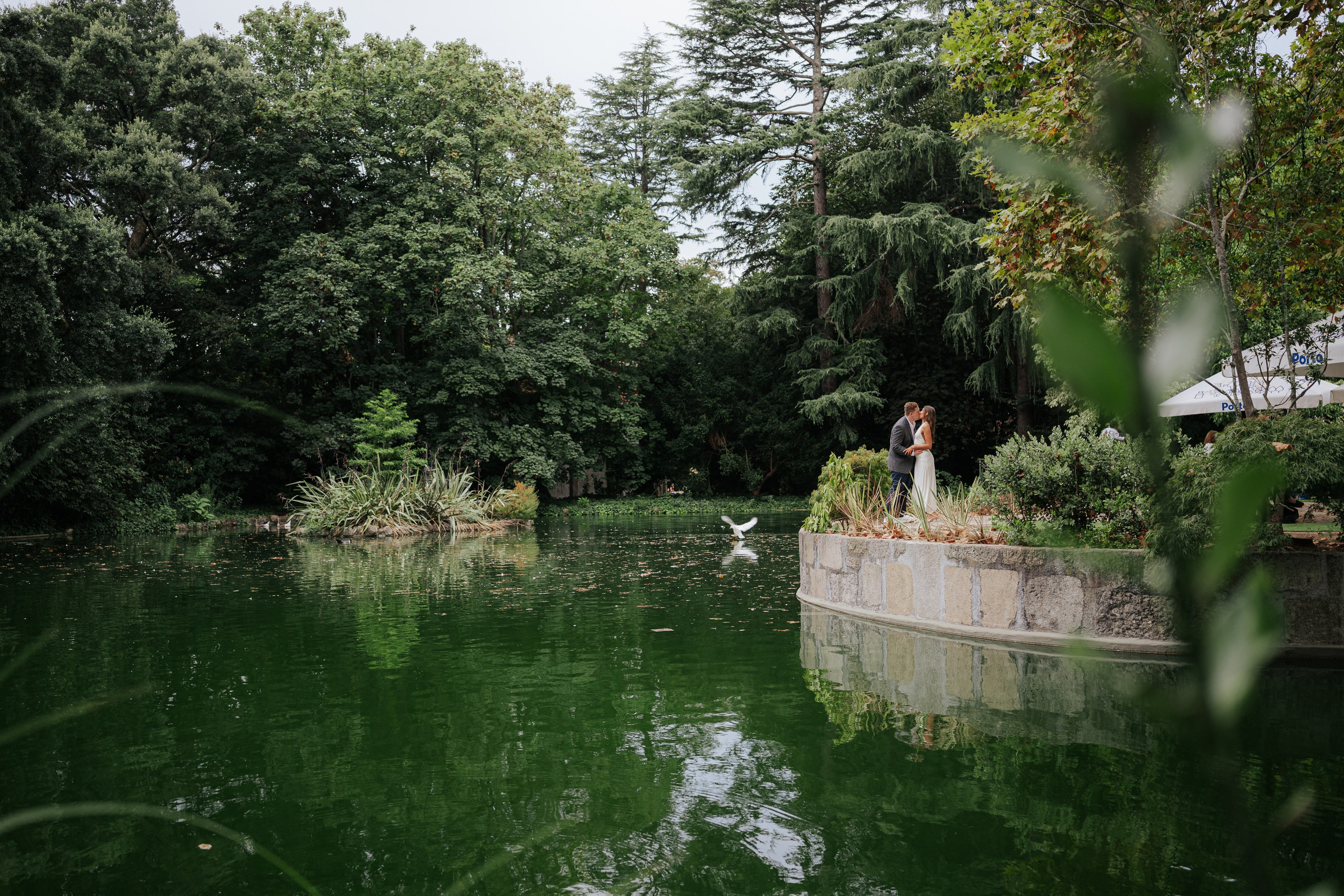 Wedding Proposal Aaron. Davi Valente