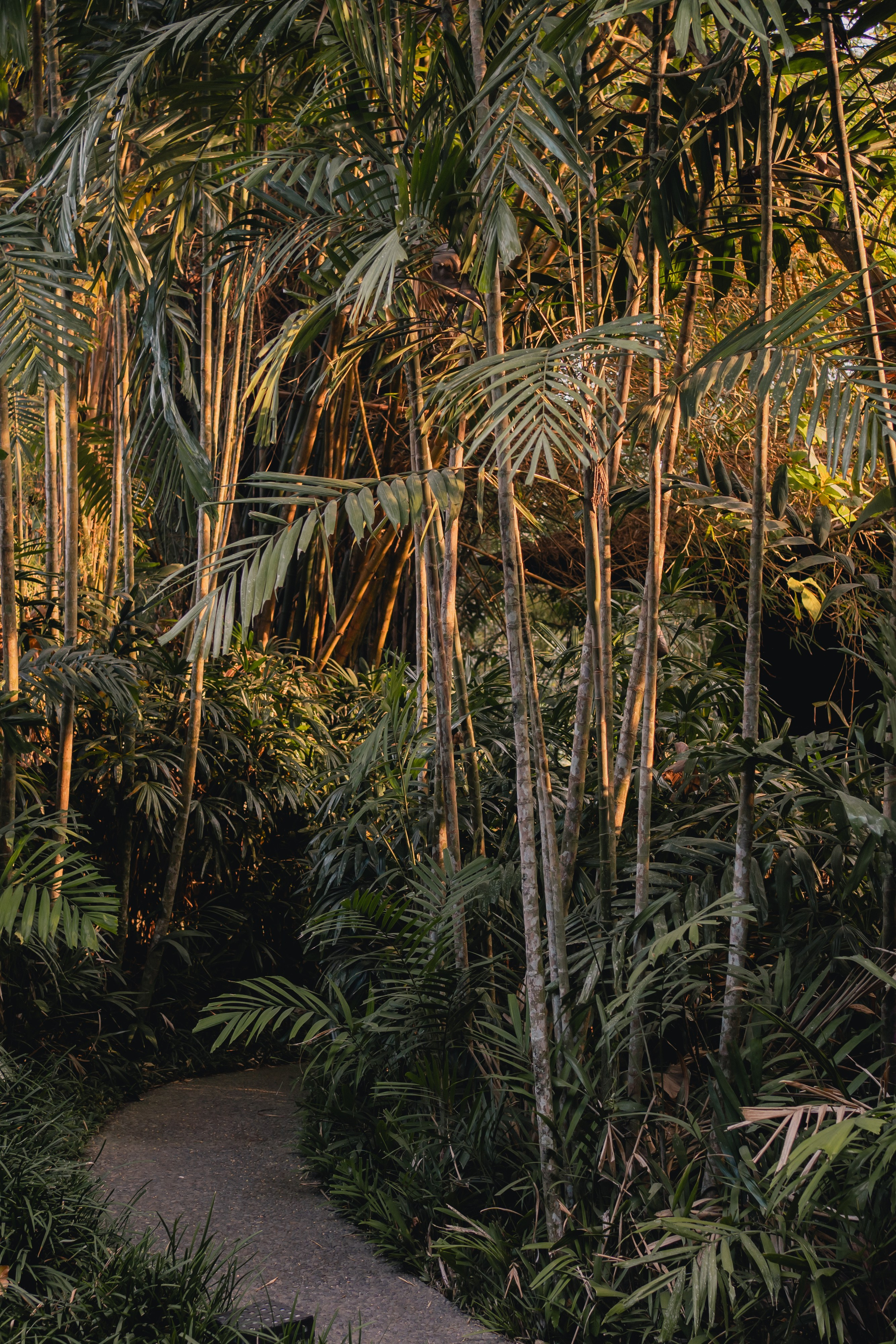 Event photography. Video production in Bali, Photo production in Bali