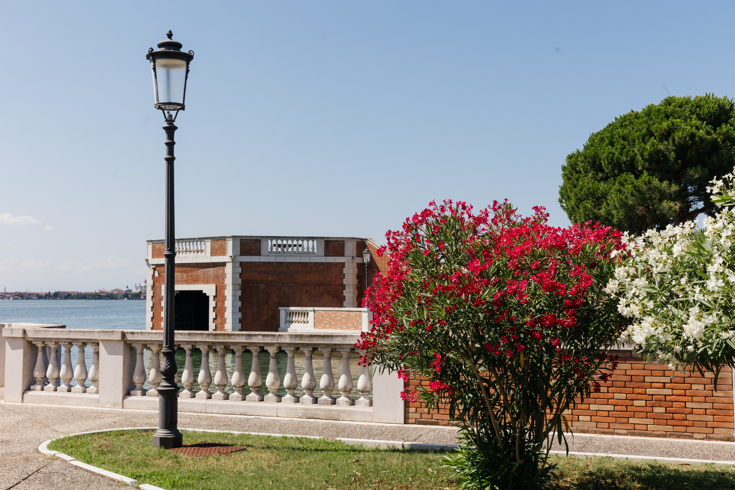 Lilit & Narek. Armenian Wedding in Venice