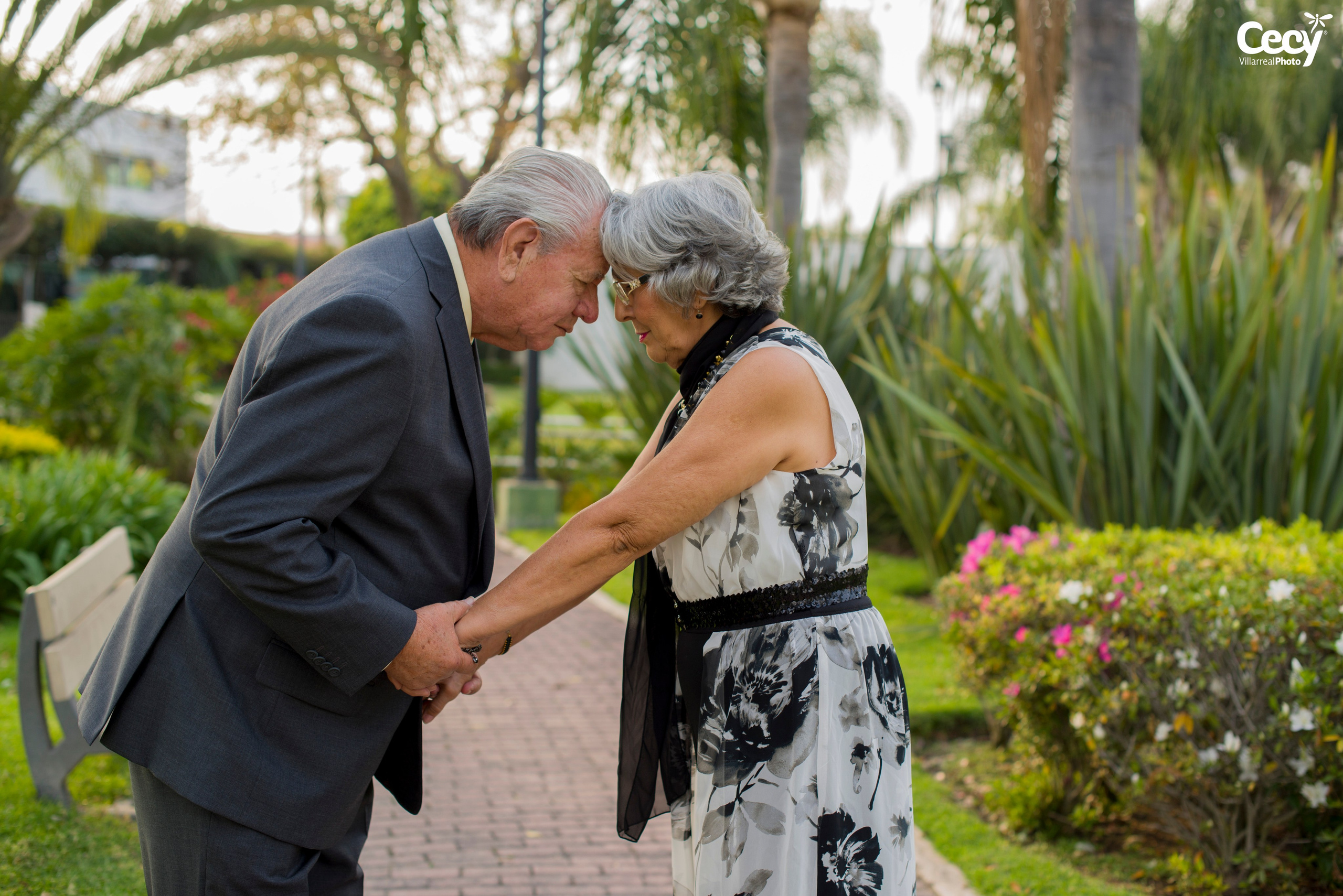 BODAS DE ORO - GUADALUPE Y FRANCISCO