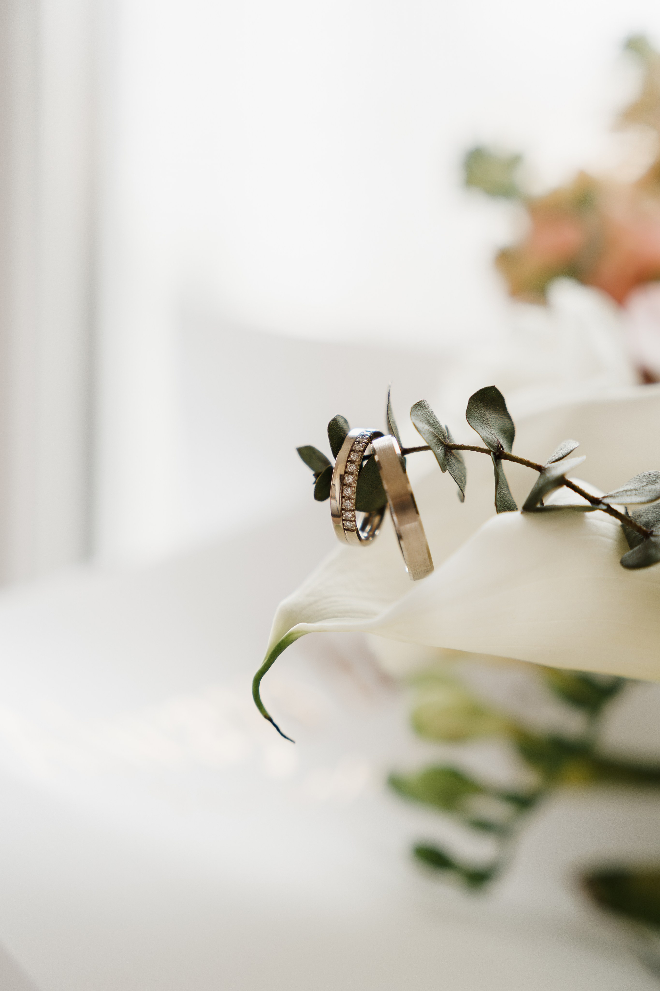 WEDDING. Profesionalna Fotografija Beograd — Staša Komatina