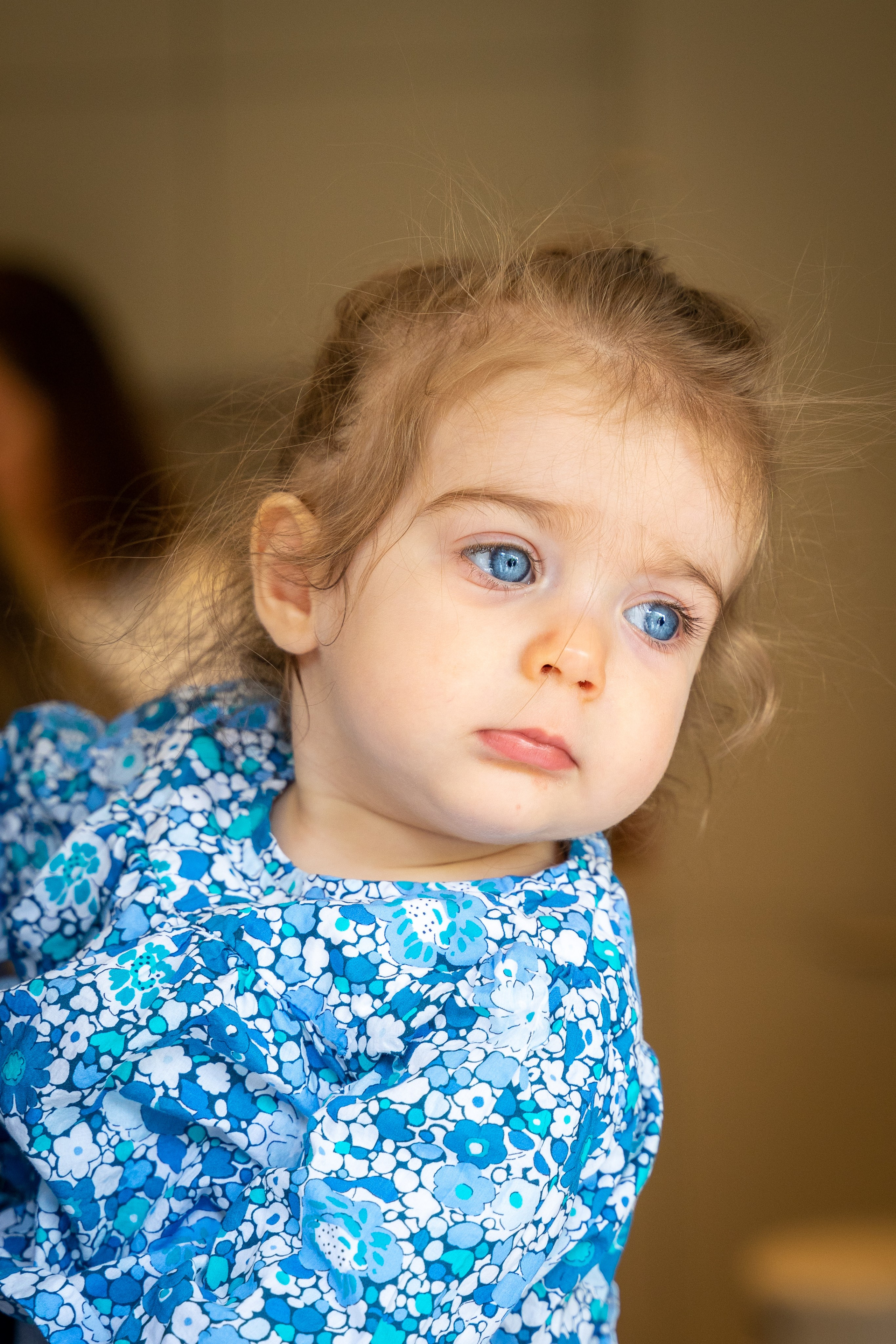 Families. Wedding and event photographer in guelph ontario canada Jessica Giovanni