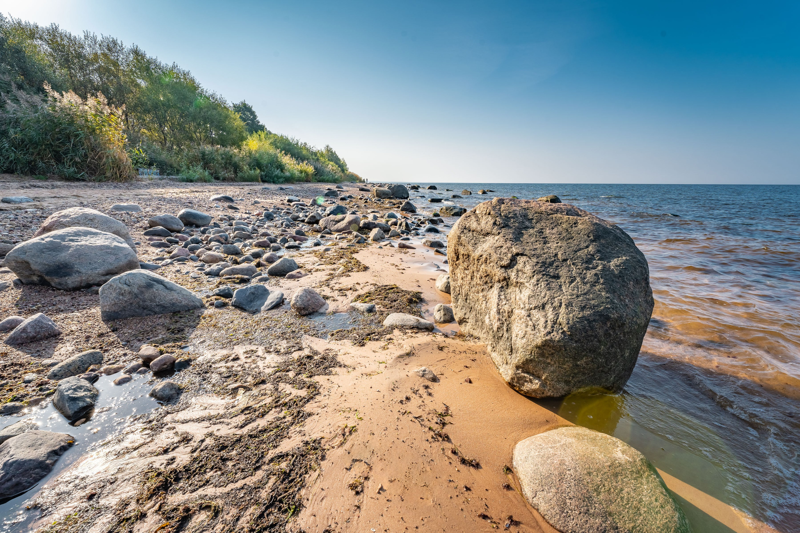 Квартира на сдачу в Booking