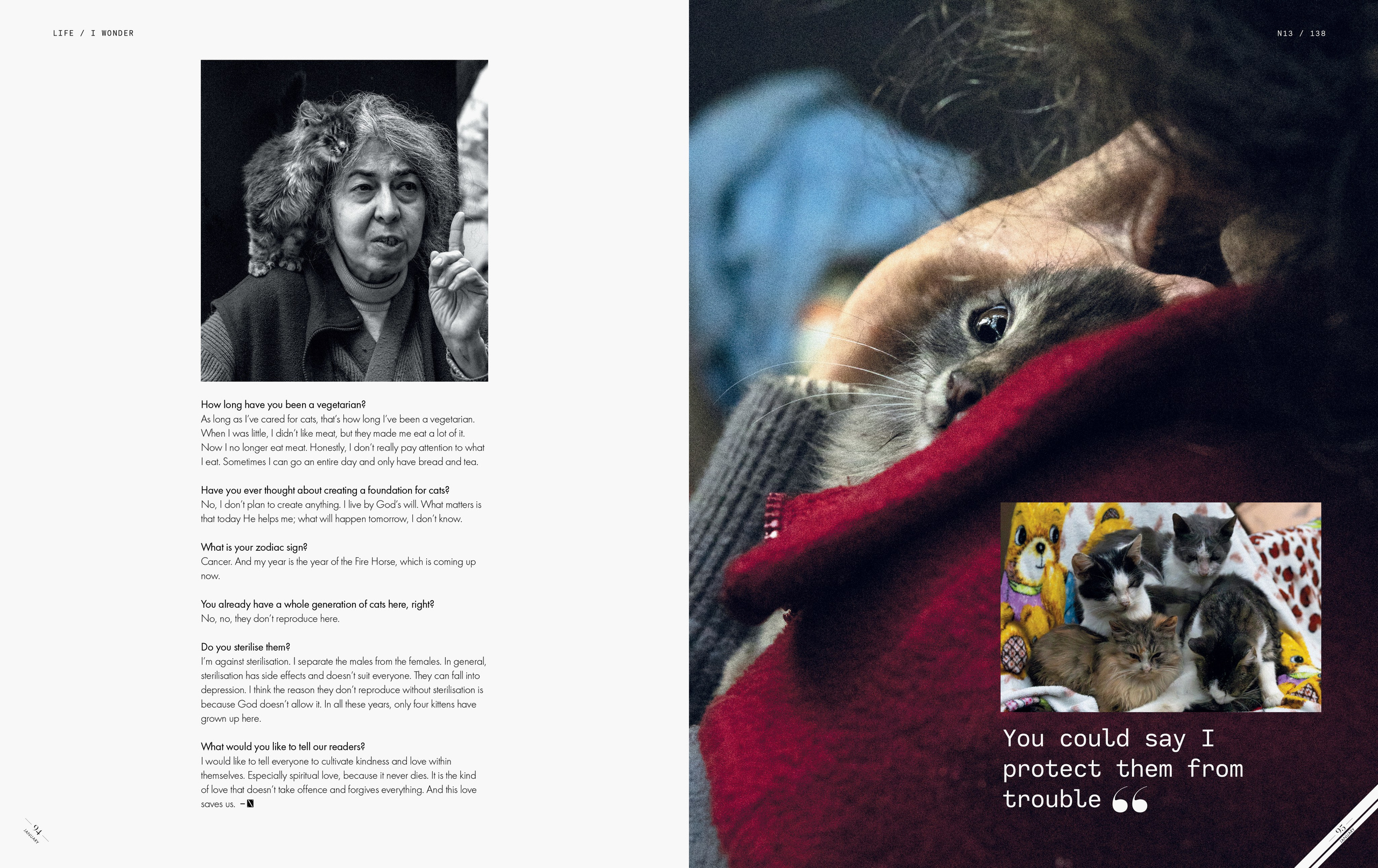 Cats or Lover’s Diary / N13 mag., December '25. Vladislav Makarov. Portrait & Street style photographer in Baku