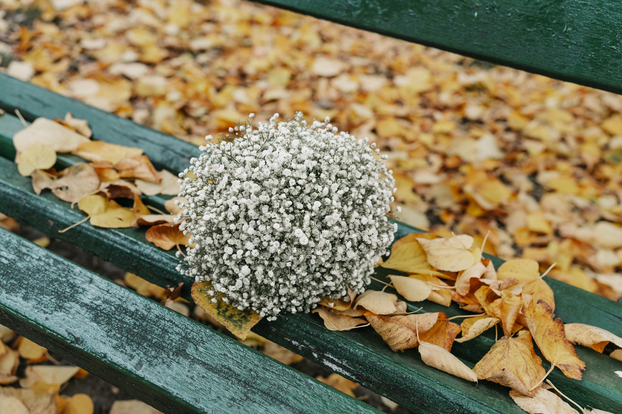 Ramona & Alex. Dara Lens | The art of remembering