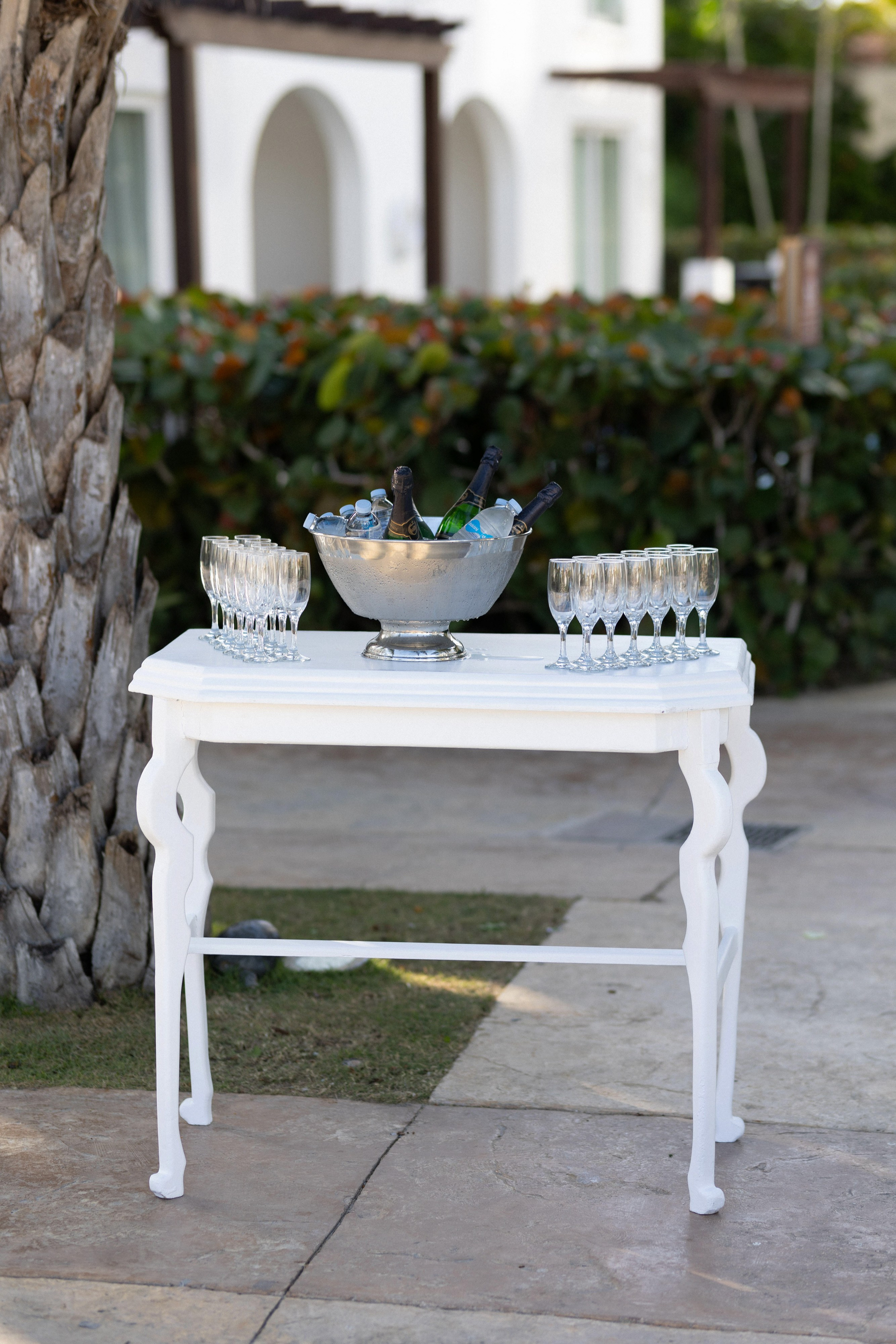 Lucas & Kennedy wedding: Capturing Moments at Dreams Dominicus