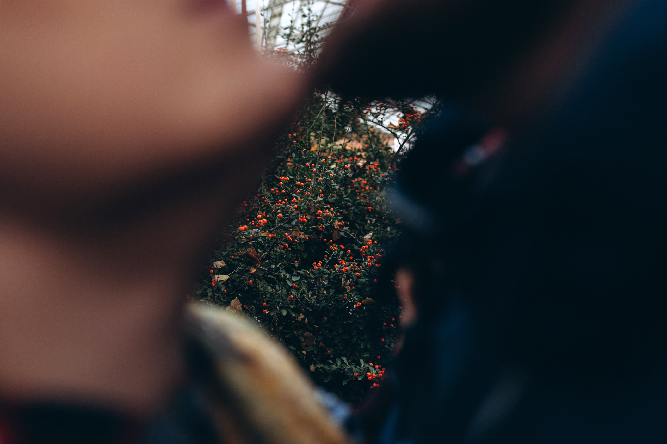 Anna & Serhii. Familien- und Hochzeitsfotografin. Ich arbeite in Koblenz und Rheinlan