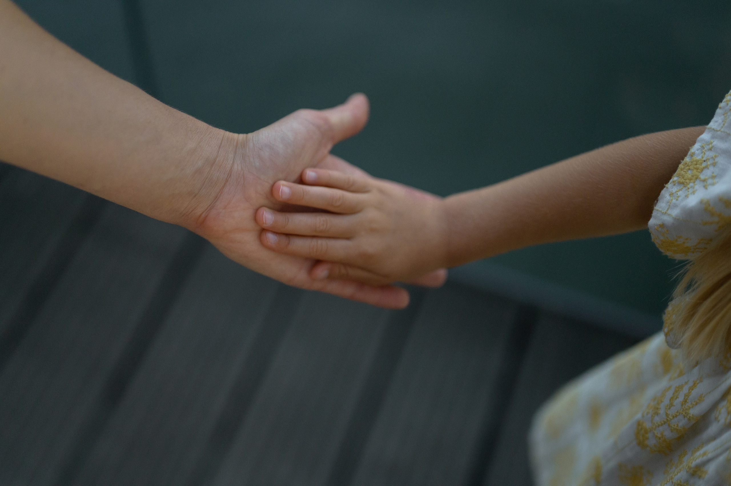 Kate and Nika, 2024. Wedding photographer in Wroclaw Warsaw Krakow Margarita Tuleiko