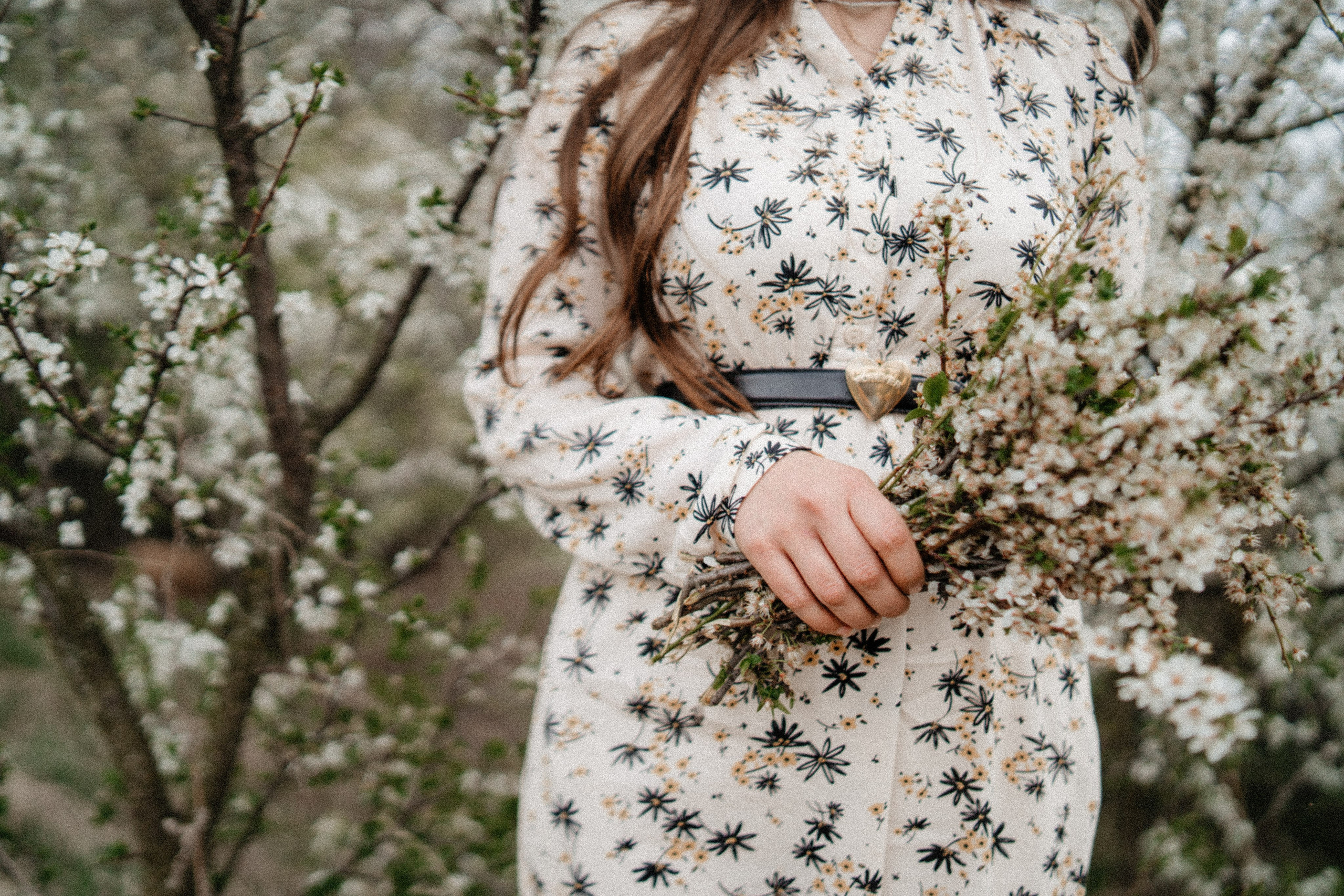 Renaștere. Foto-Video Nunta Iasi, Suceava, Bucuresti / Disponibilitate 2025 — 2026 — 2027